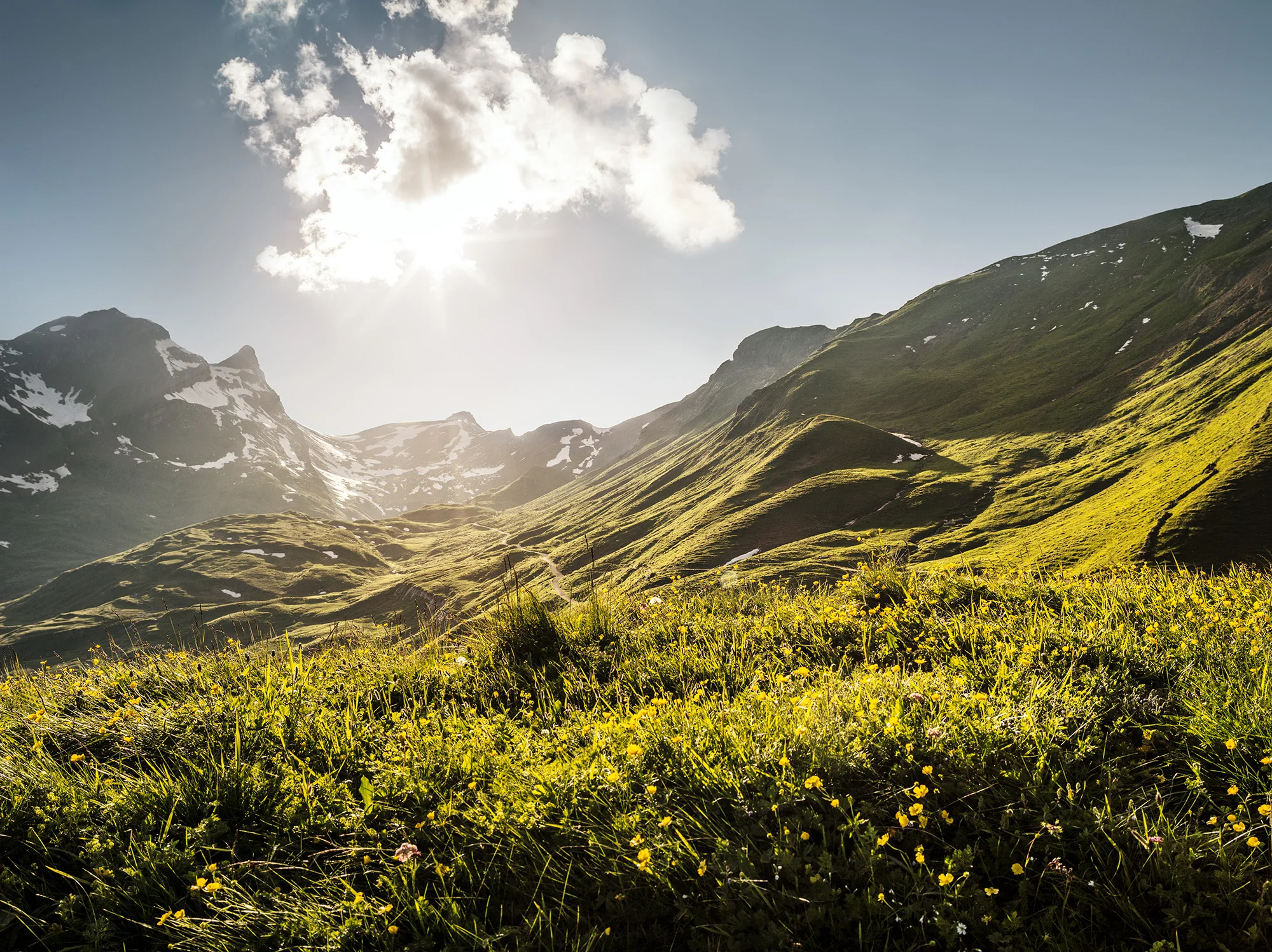 2016_11_Bilderbub_Spirig_Ricola_Landschaften_03.jpg