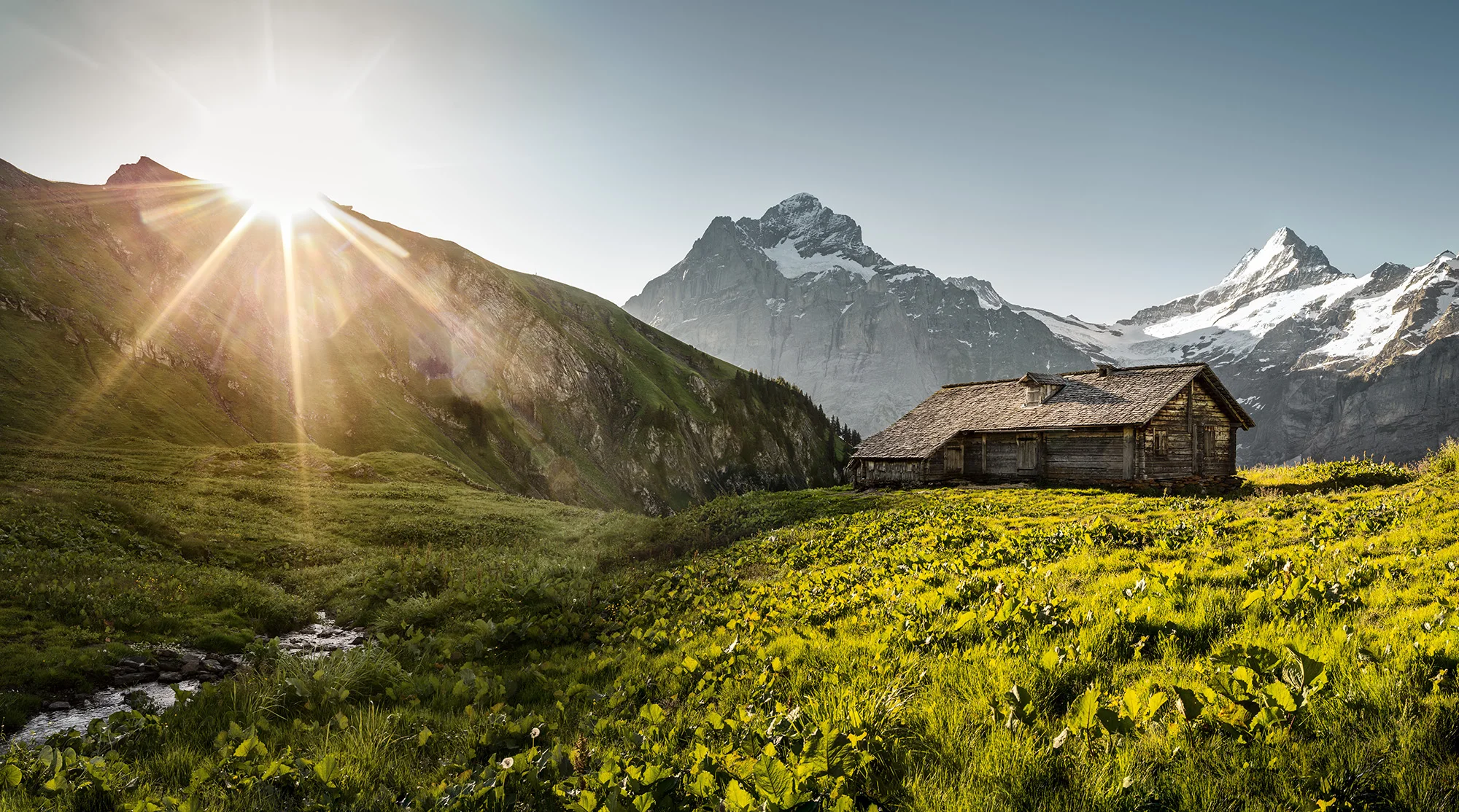 2016_11_Bilderbub_Spirig_Ricola_Landschaften_05.jpg