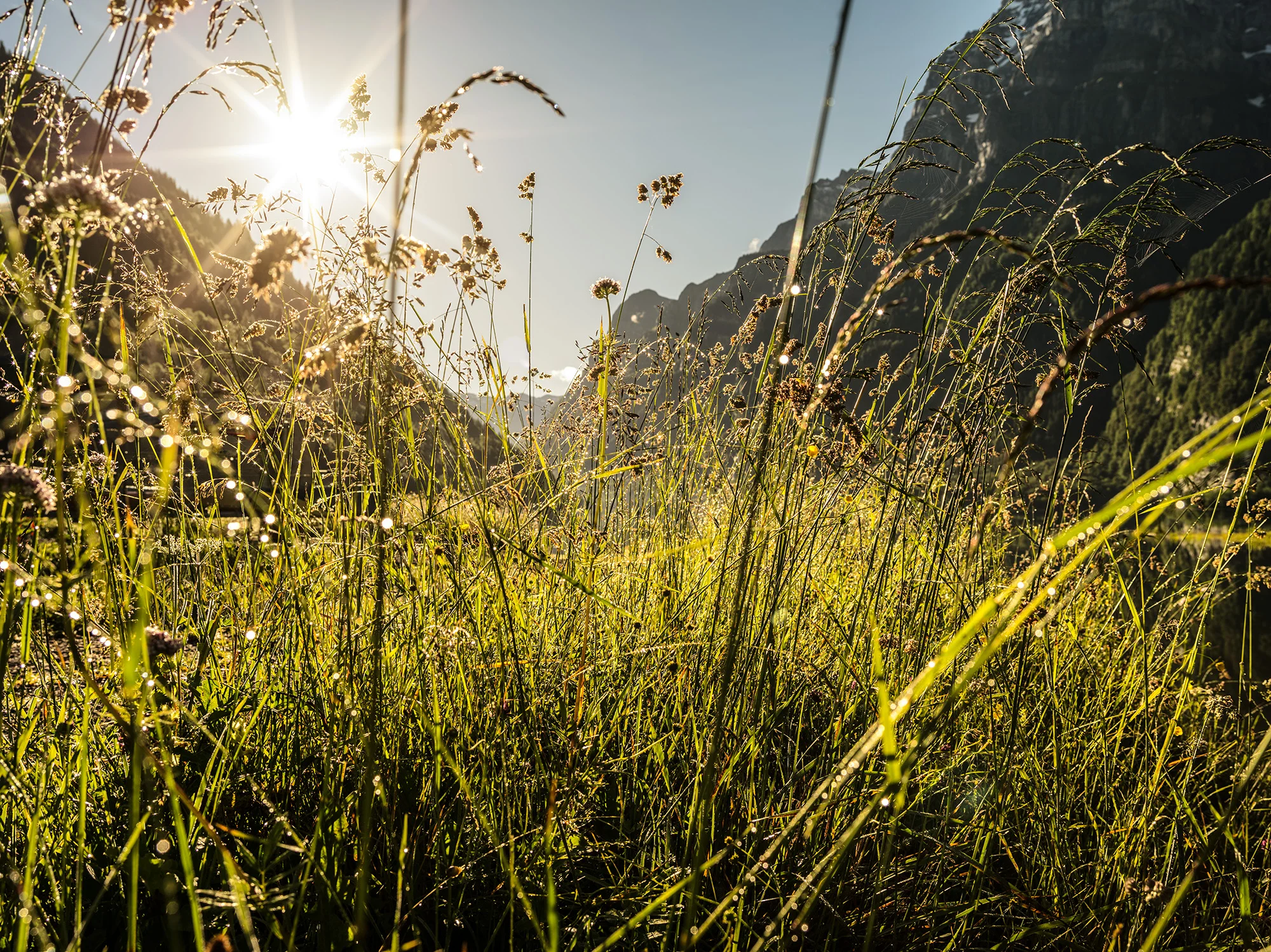 2016_11_Bilderbub_Spirig_Ricola_Landschaften_07.jpg