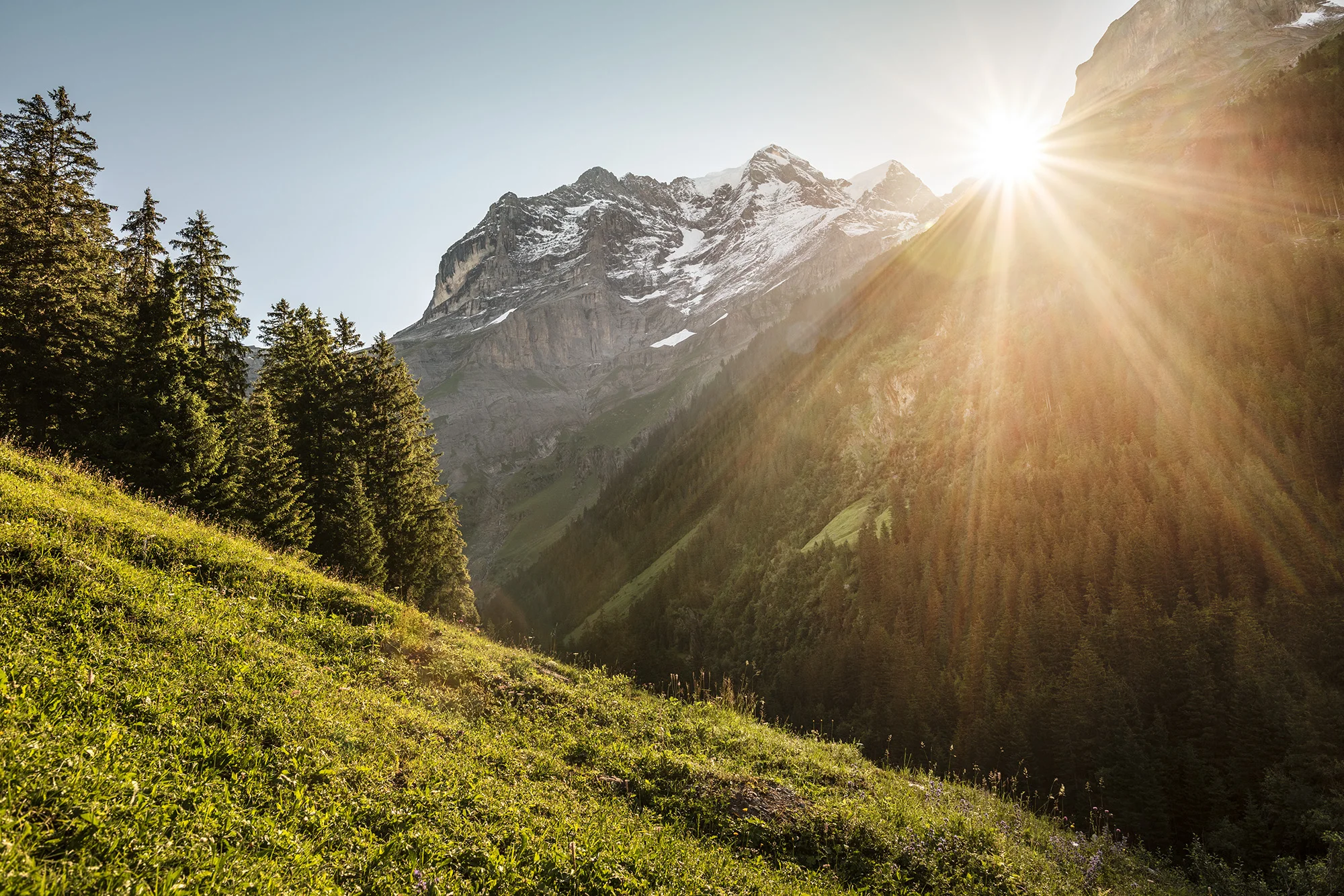 2016_11_Bilderbub_Spirig_Ricola_Landschaften_08.jpg