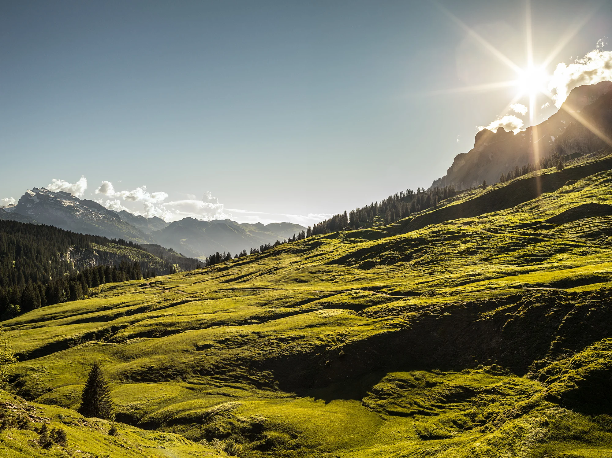 2016_11_Bilderbub_Spirig_Ricola_Landschaften_09.jpg