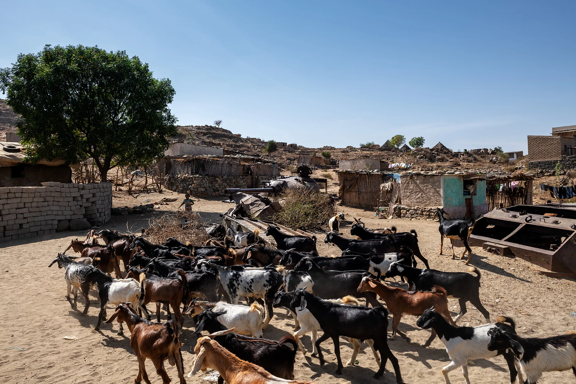 2019_02_Bilderbub_Spirig_Schade_Eritrea_09.jpg