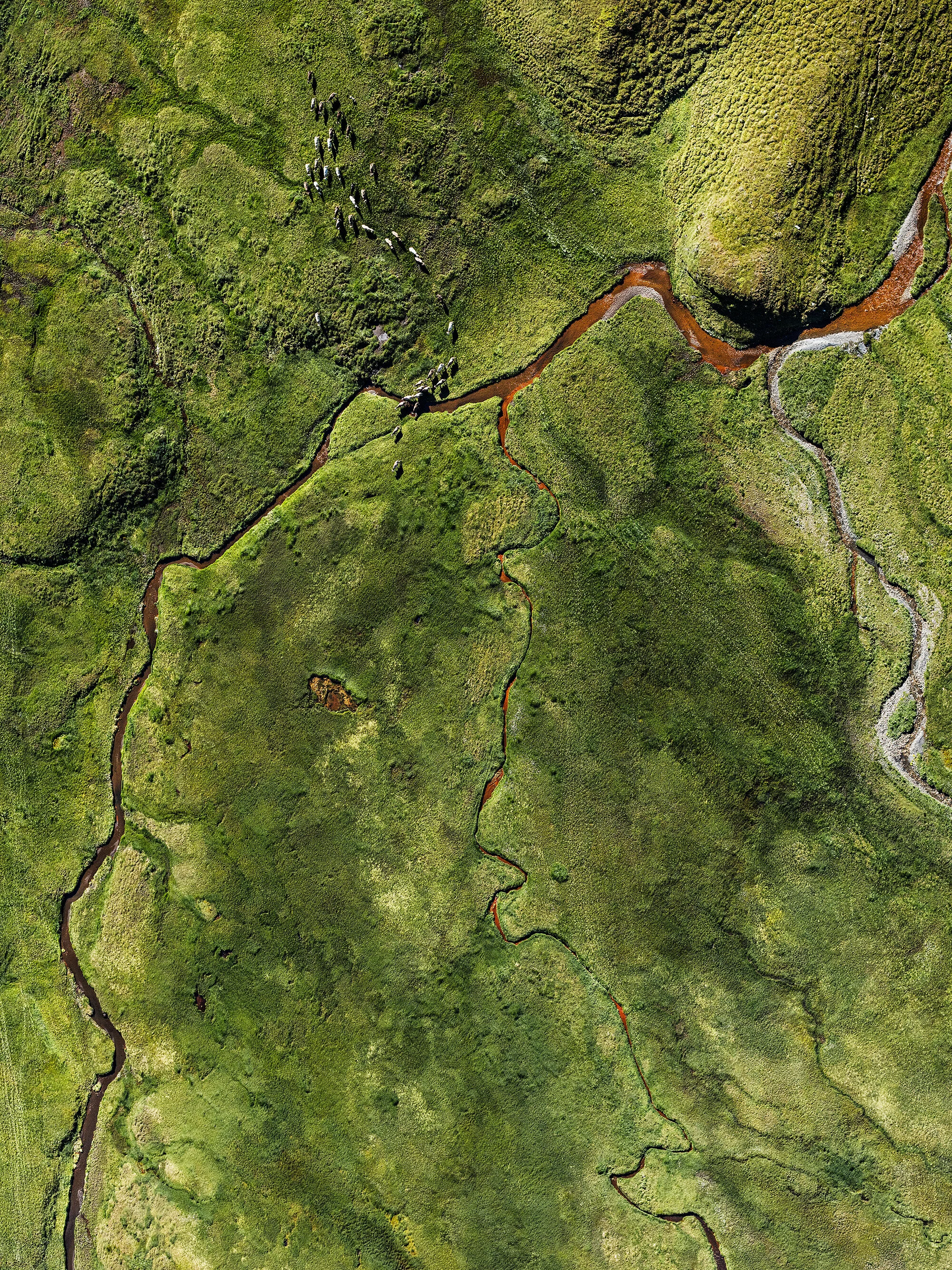 2019_10_Bilderbub_Spirig_Caminada_Pure_Leidenschaft_11.jpg