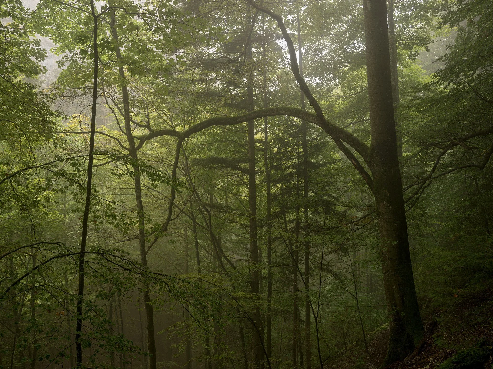 0900_M_u_M_Wolfsschlucht_MBUE5419.jpg