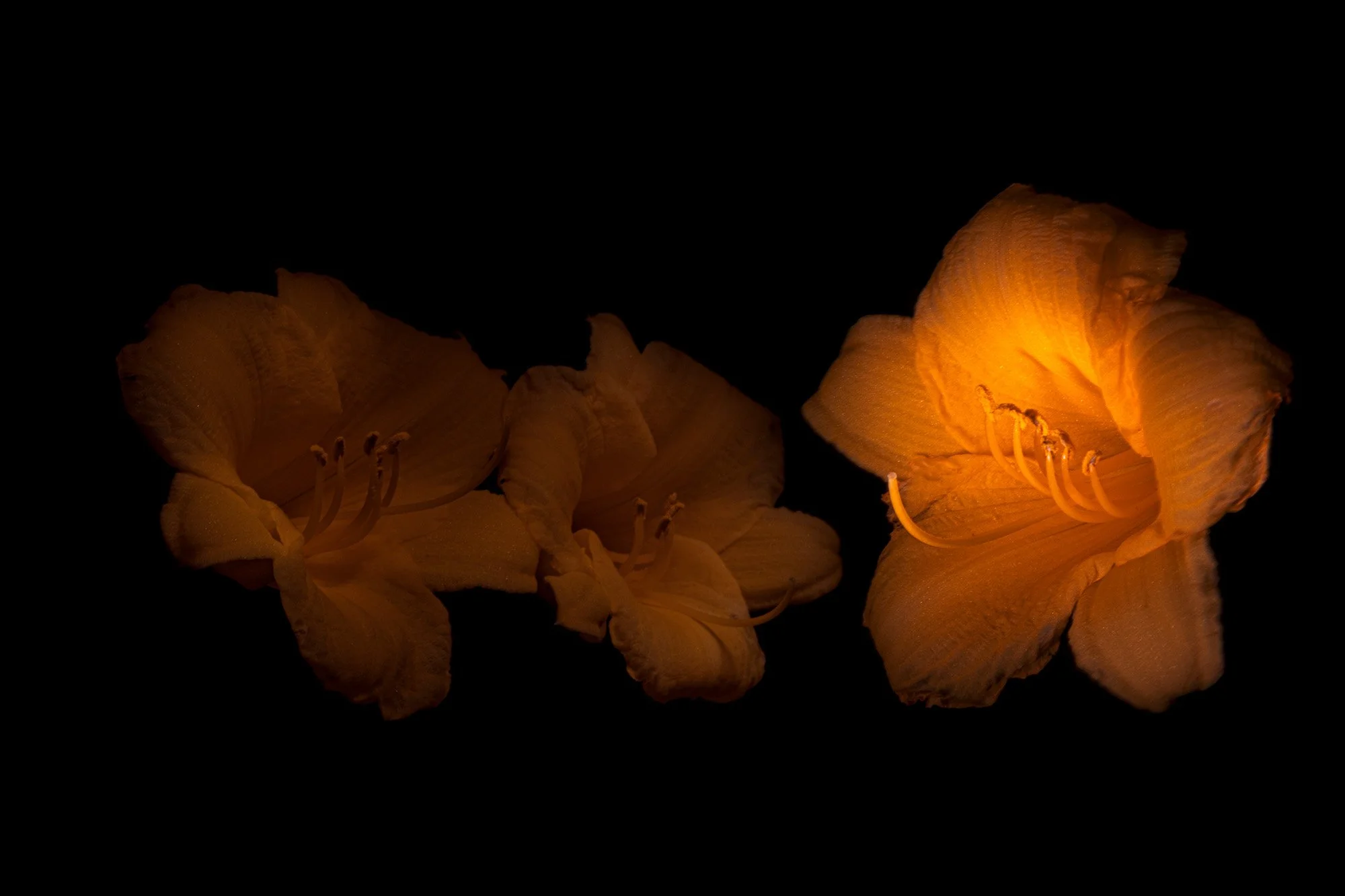 2023_09_Spirig_Bilderbub_Lichtmalen_003.jpg
