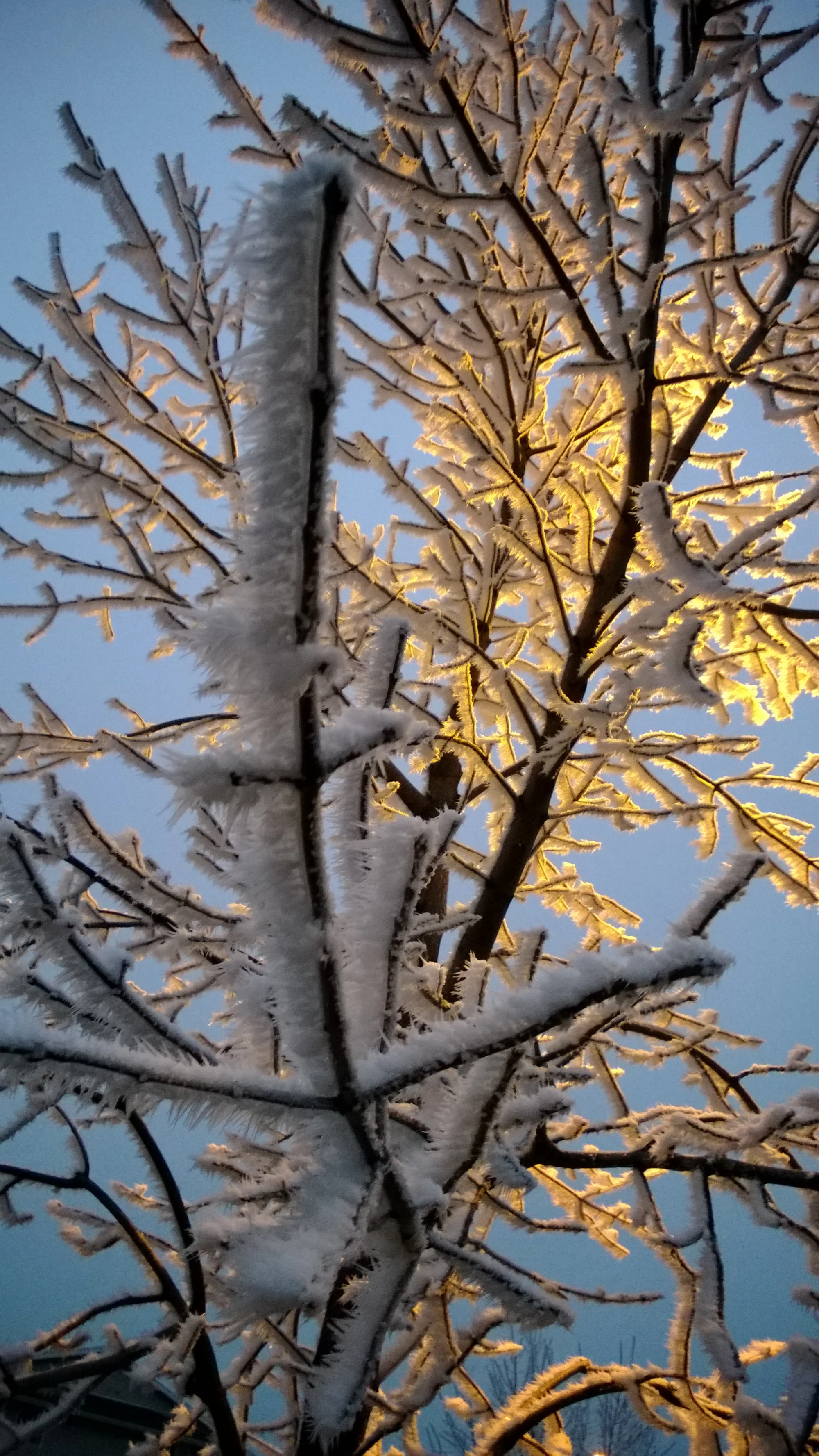 WP_20140122_16_52_05_Pro.jpg