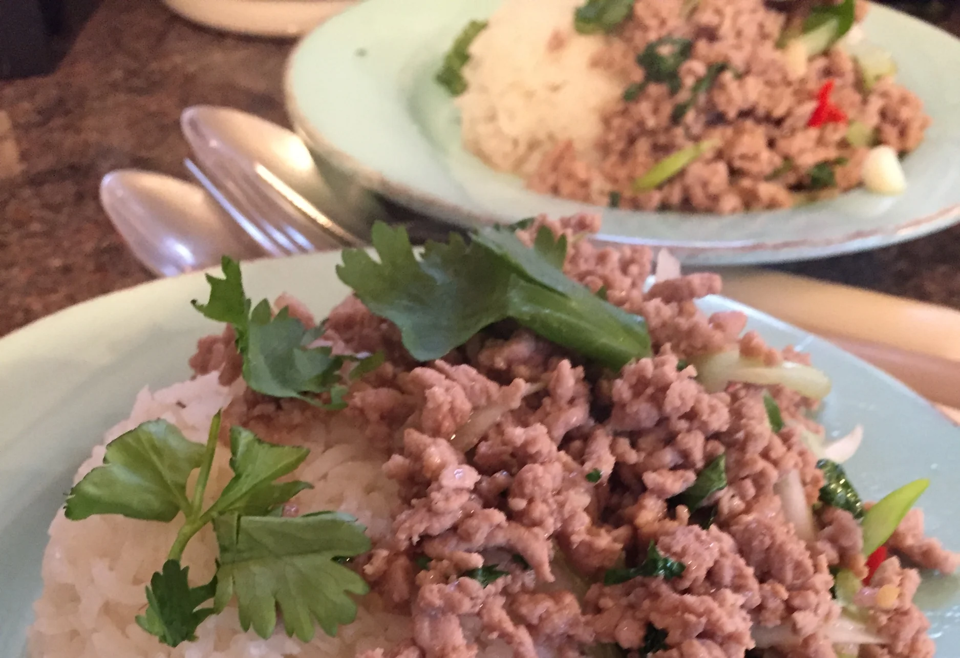 Stir fried pork with chilli and garlic 