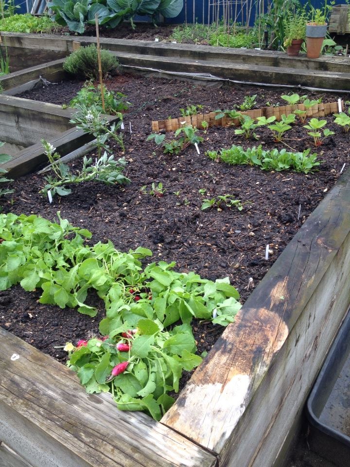 You choose what to grow in your garden