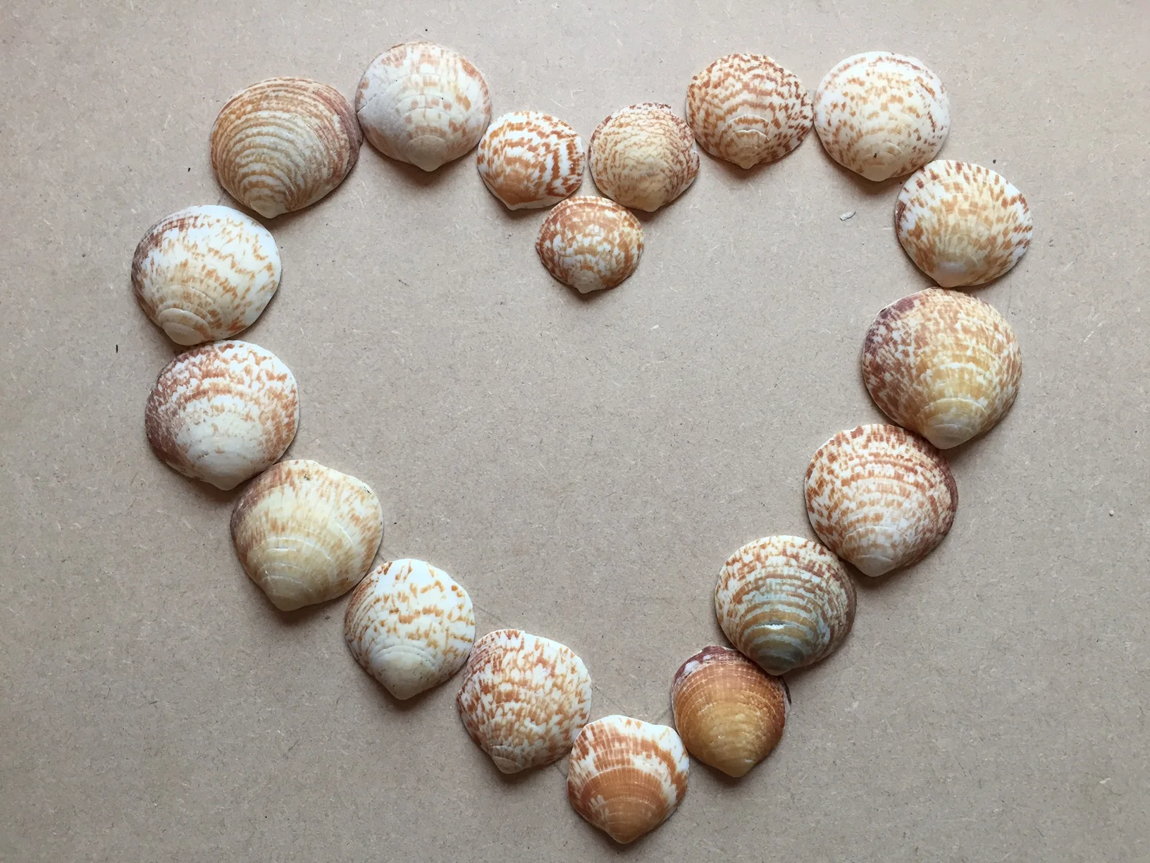 What does your heart actually want to do?