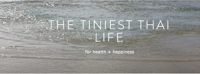 Tiniest Thai life - header.png