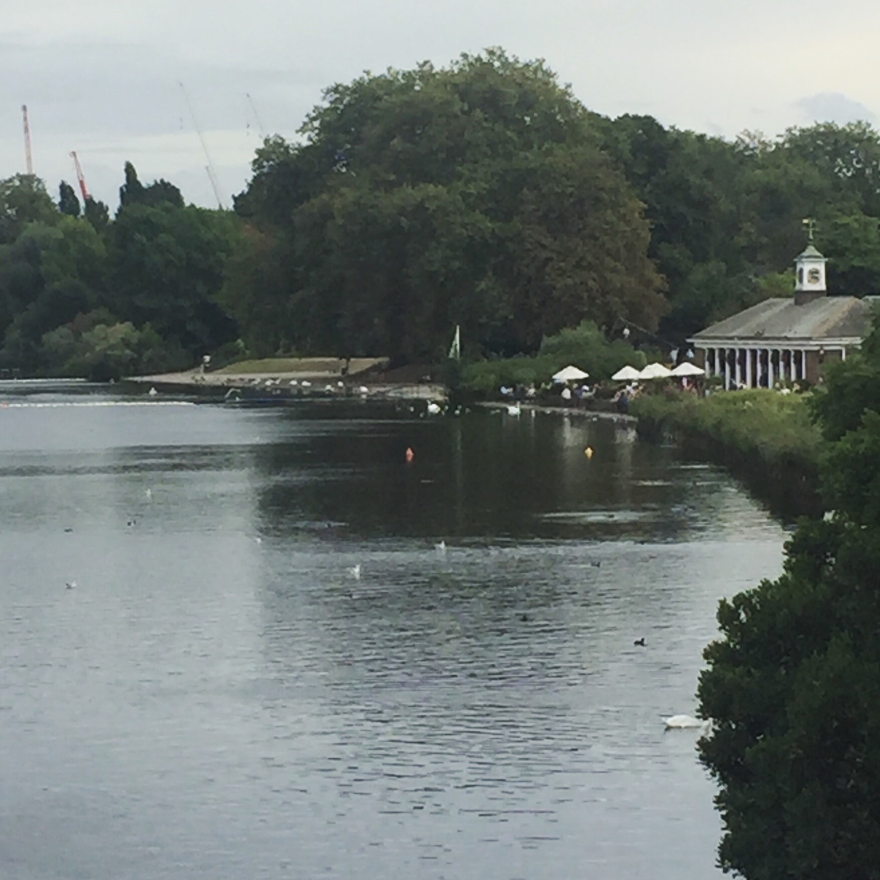 5 good things to do in London (and when visitors visit - where do YOU take them?)