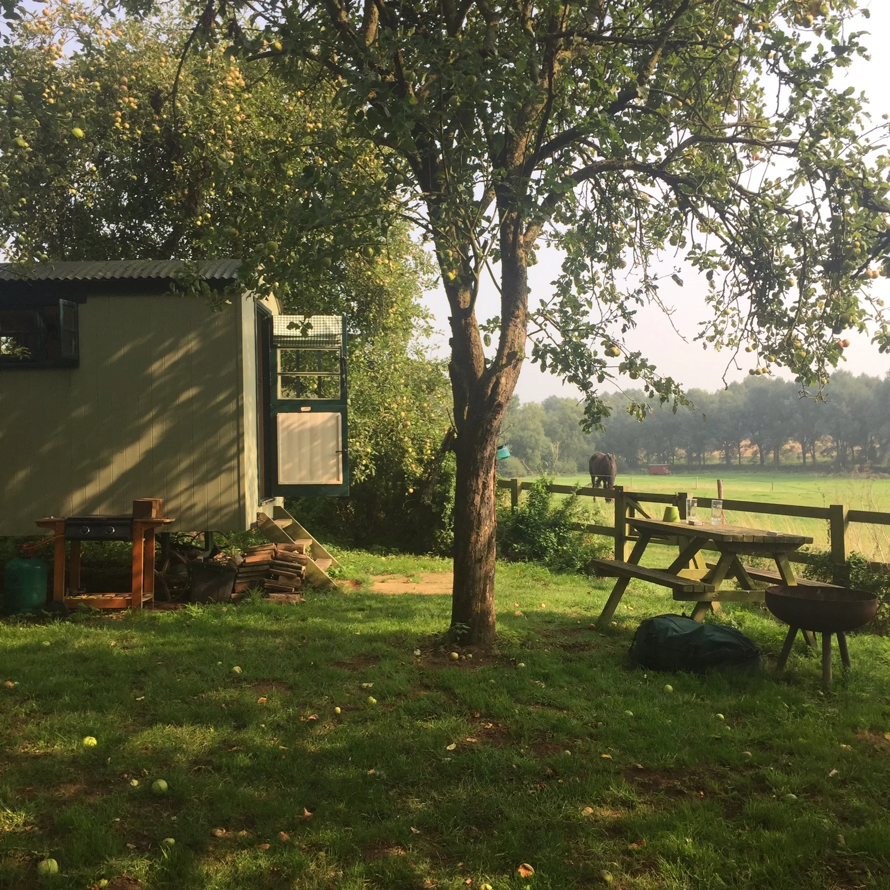 24 hours in a shepherd's hut / late summer glamping