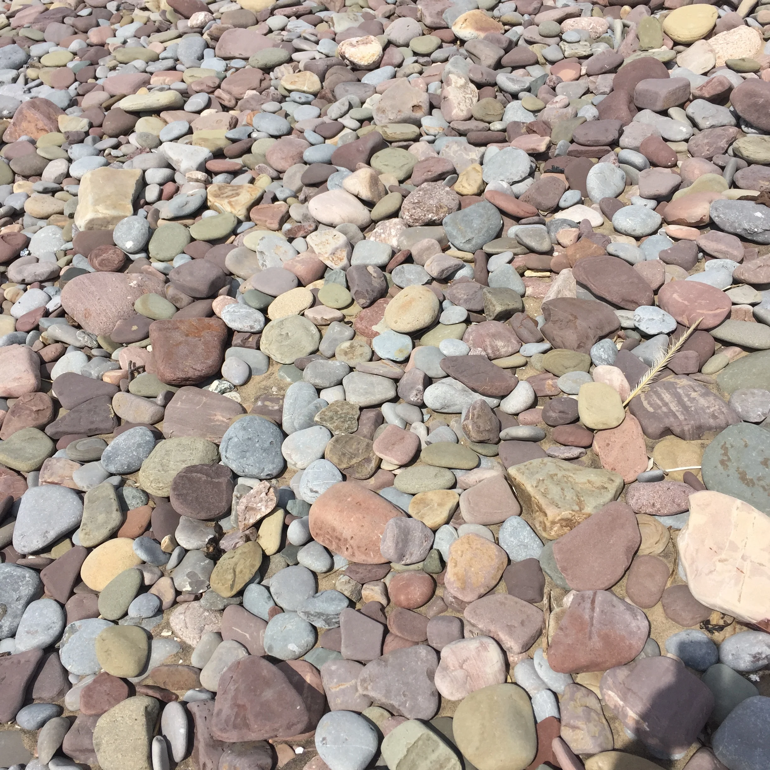 Sometimes it's about saying 'no' to reach your goals