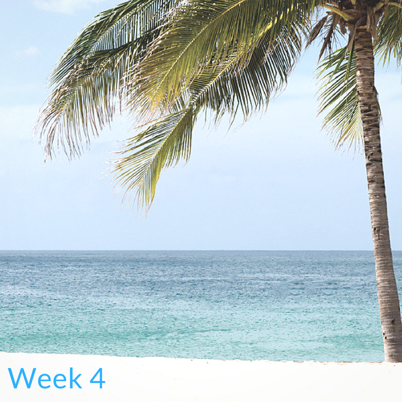 Week 4