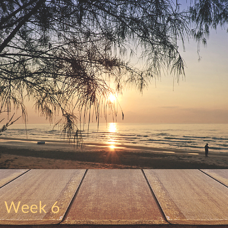 Week 6