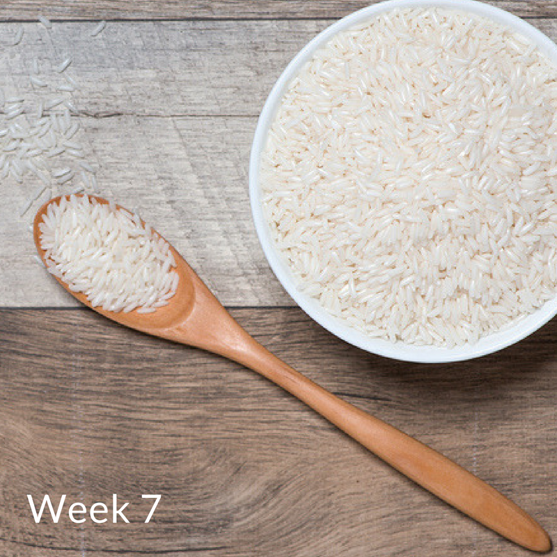 Week 7