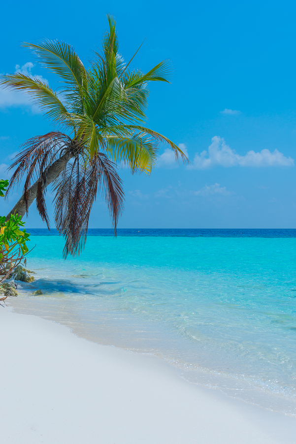 Thai beach.jpg