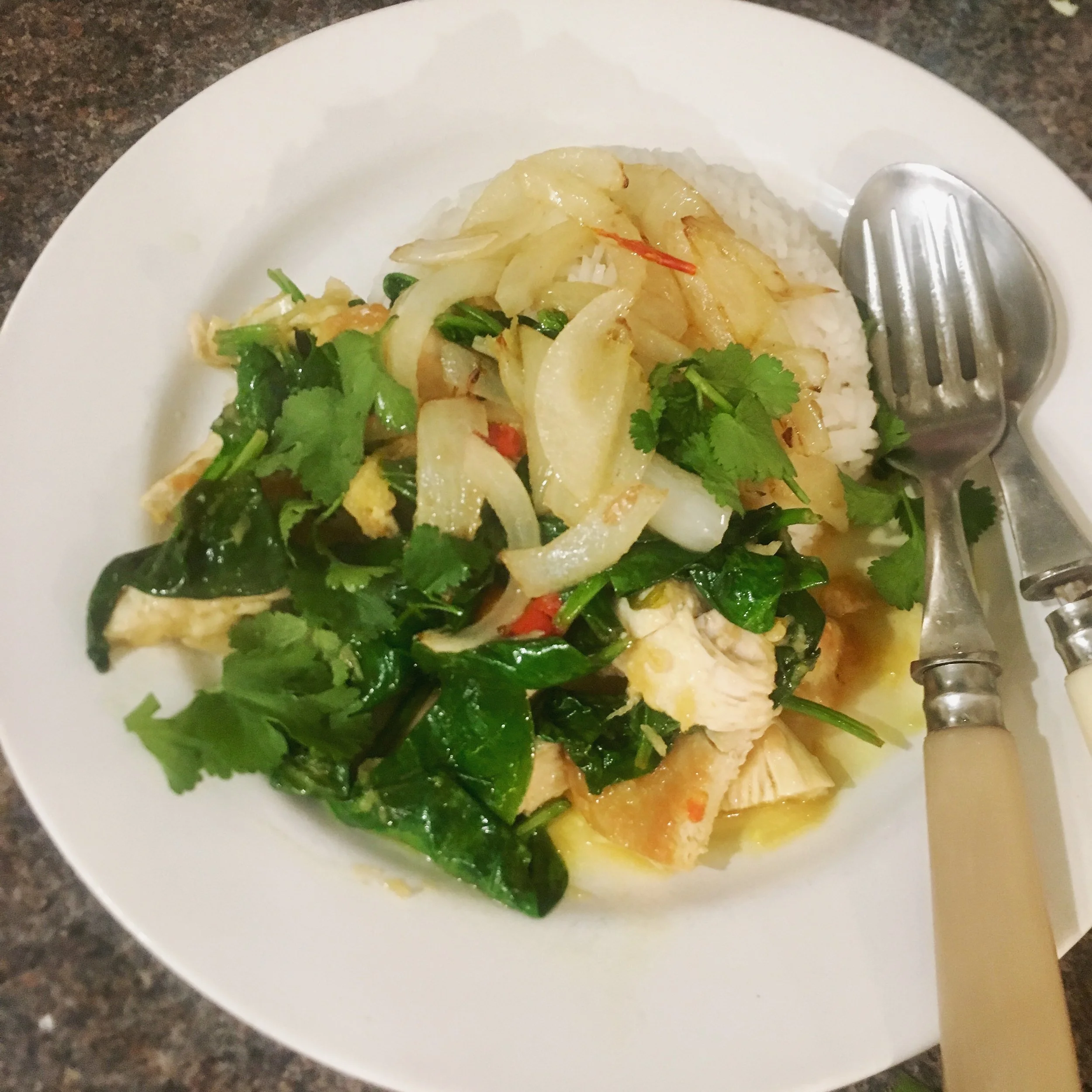 Chicken with ginger + onions