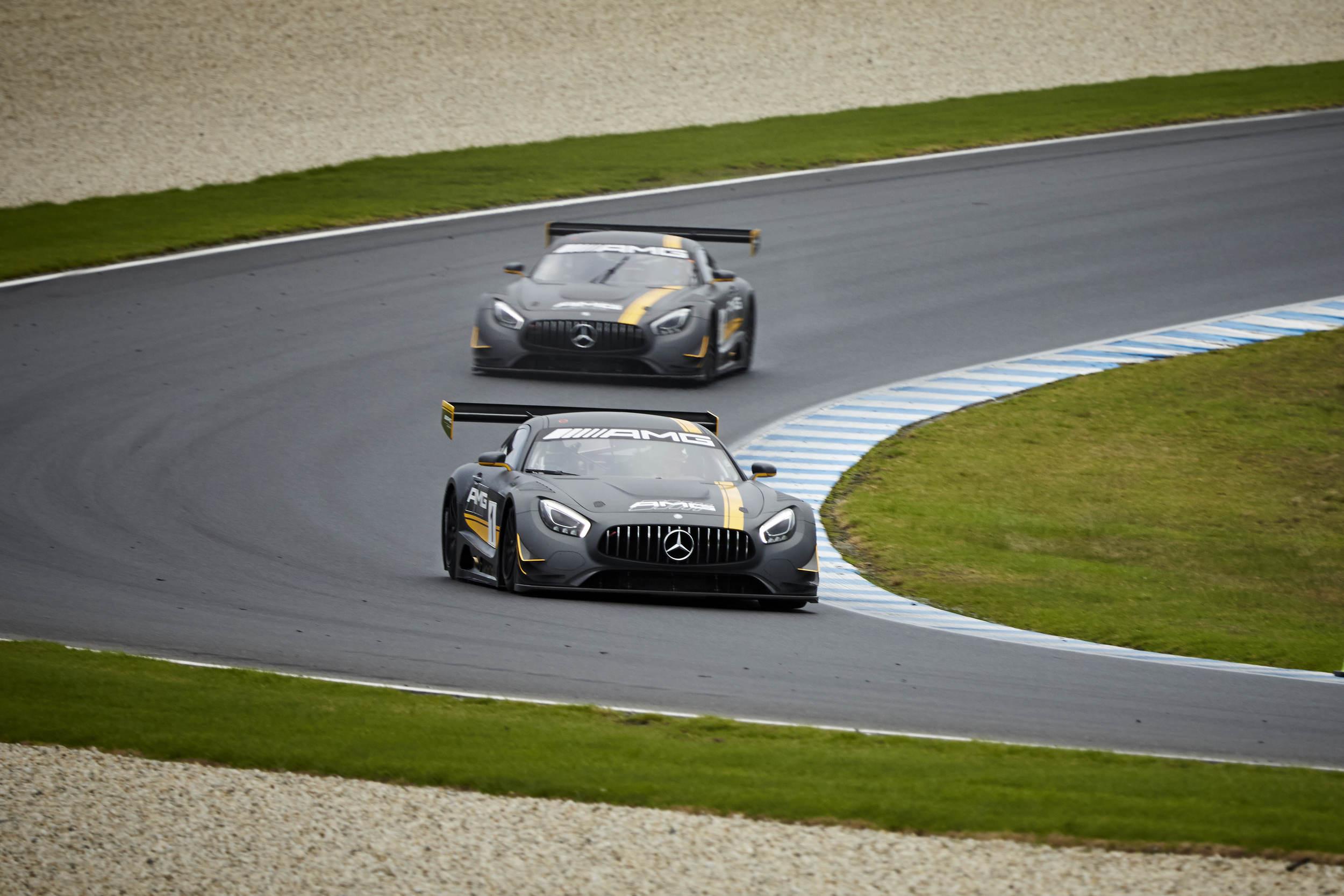 AMG-PhillipIsland-23-5-648.jpg
