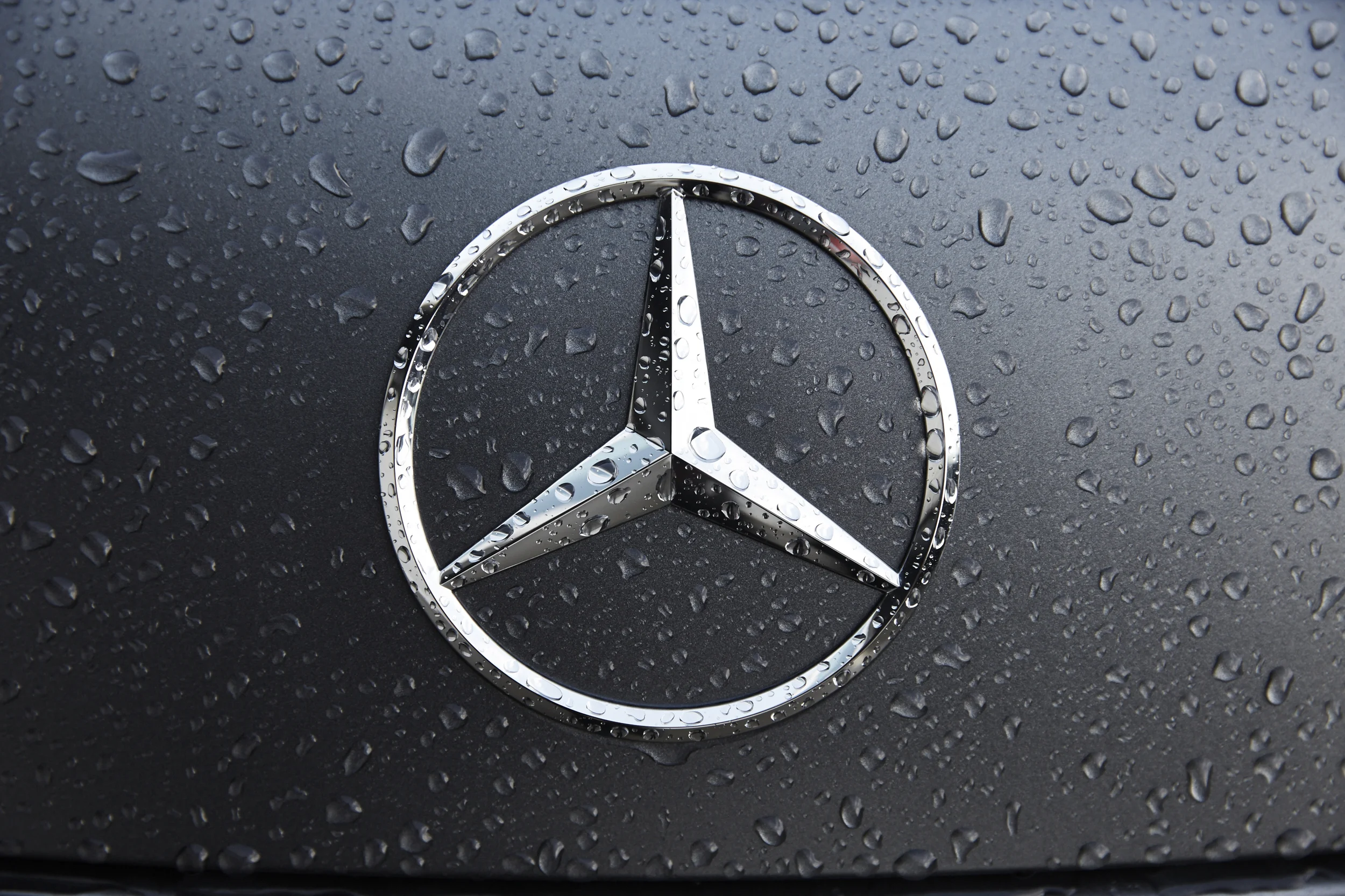 AMG-PhillipIsland-23-5-027.jpg