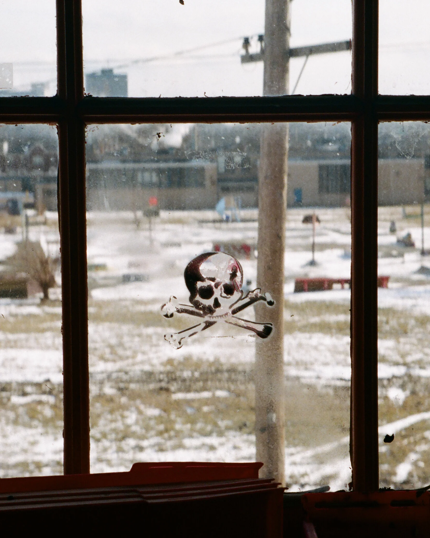 Wigskull.jpg