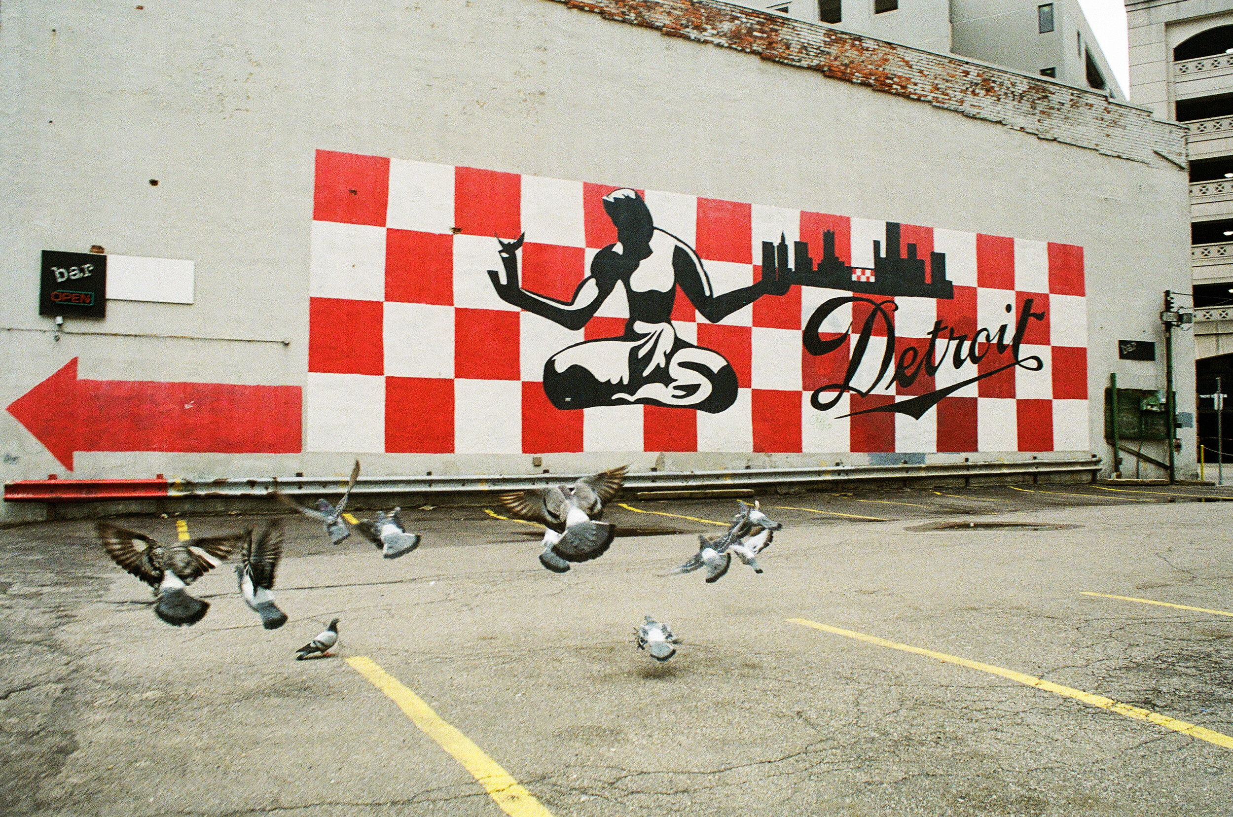 Checkerpigeons.jpg