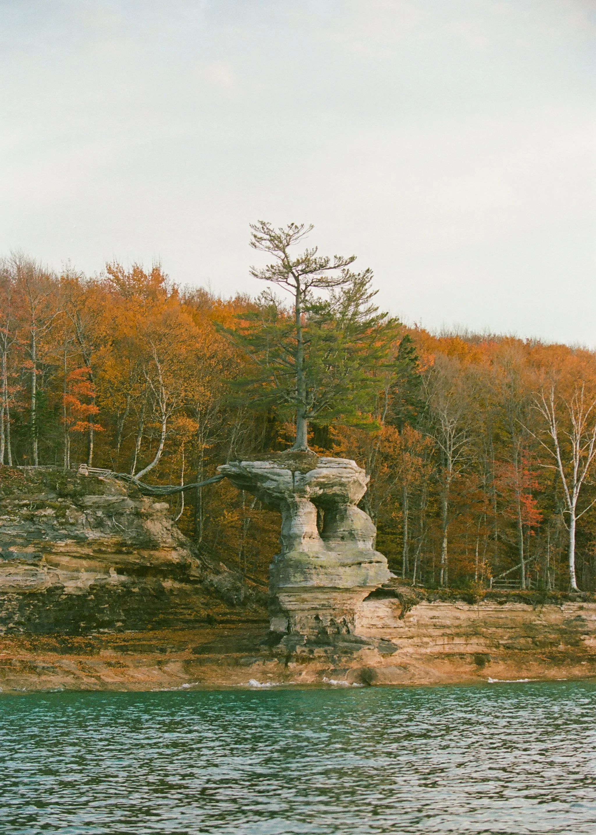 Picturedrockscruise-7.jpg