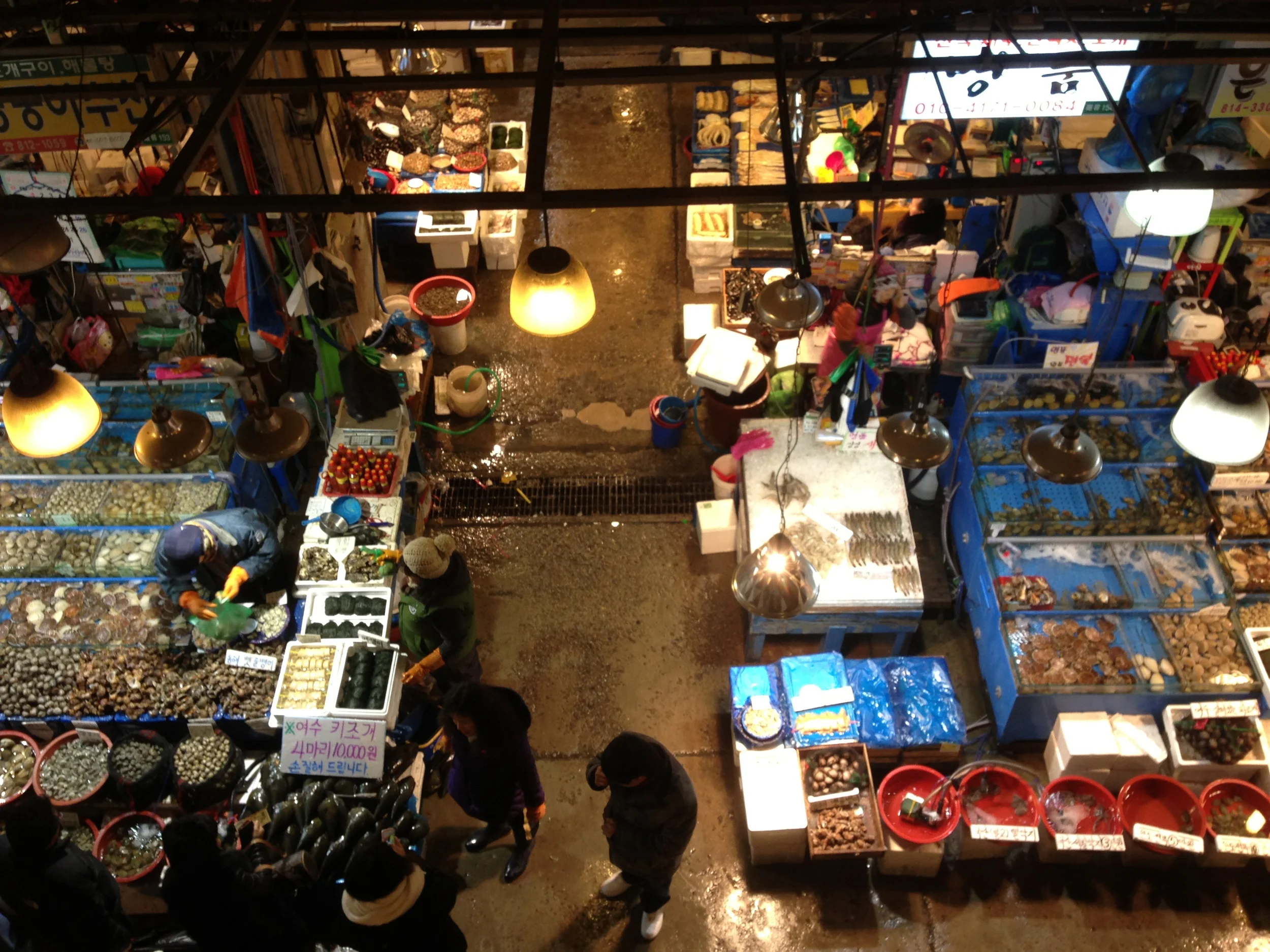 Jan2013_ElizabethVargas_BD_Noryangjin_Seoul005.JPG