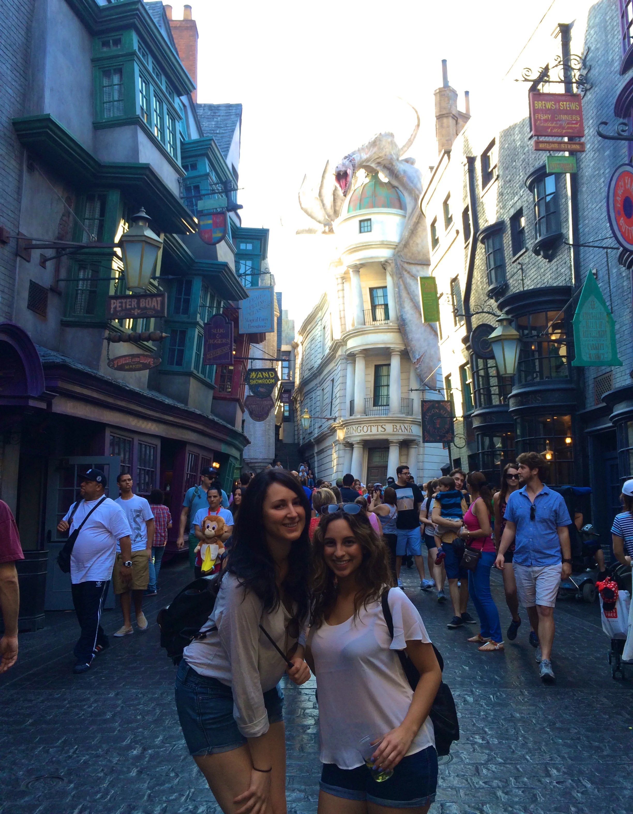 Harry Potter World