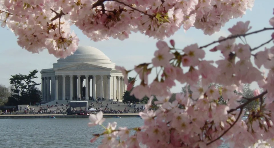 Photo via www.Washington.org