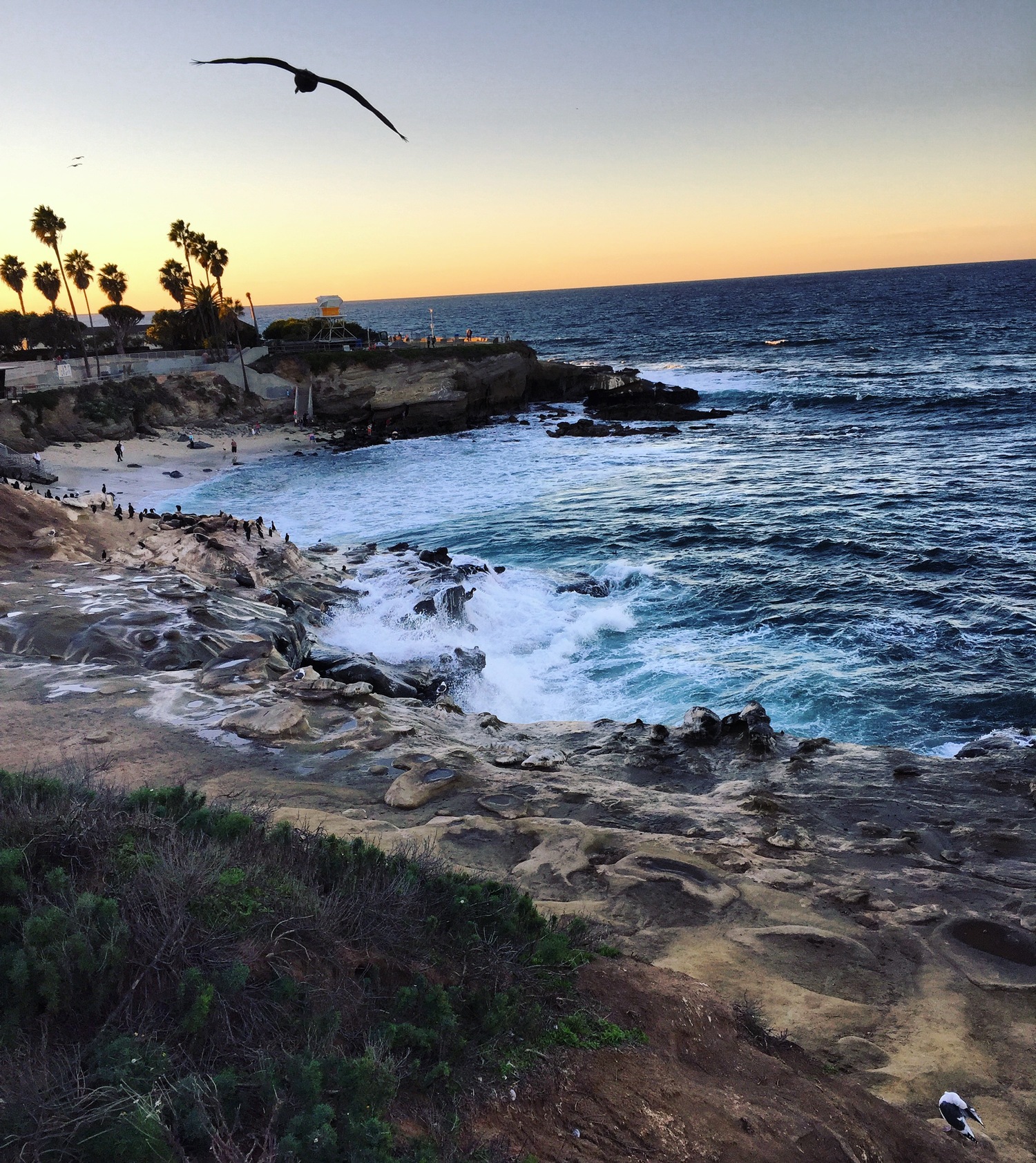 A Weekend Guide To La Jolla The City