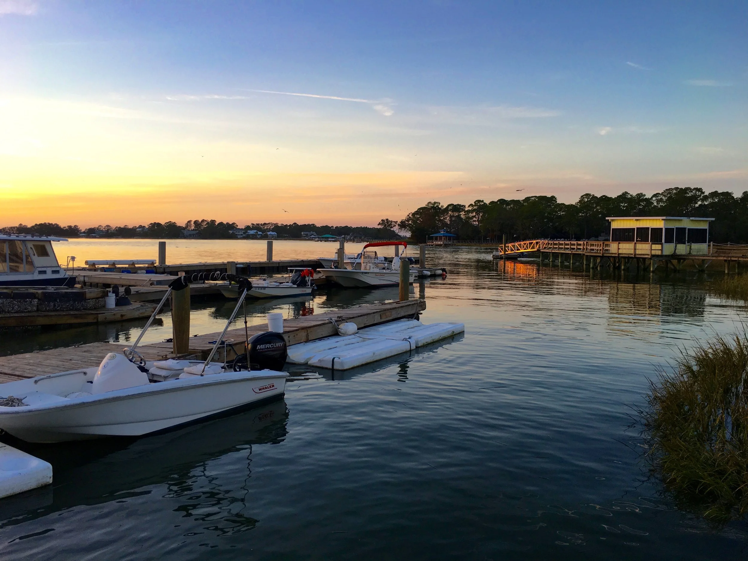 A Weekend Guide to Tybee Island — The City Sidewalks