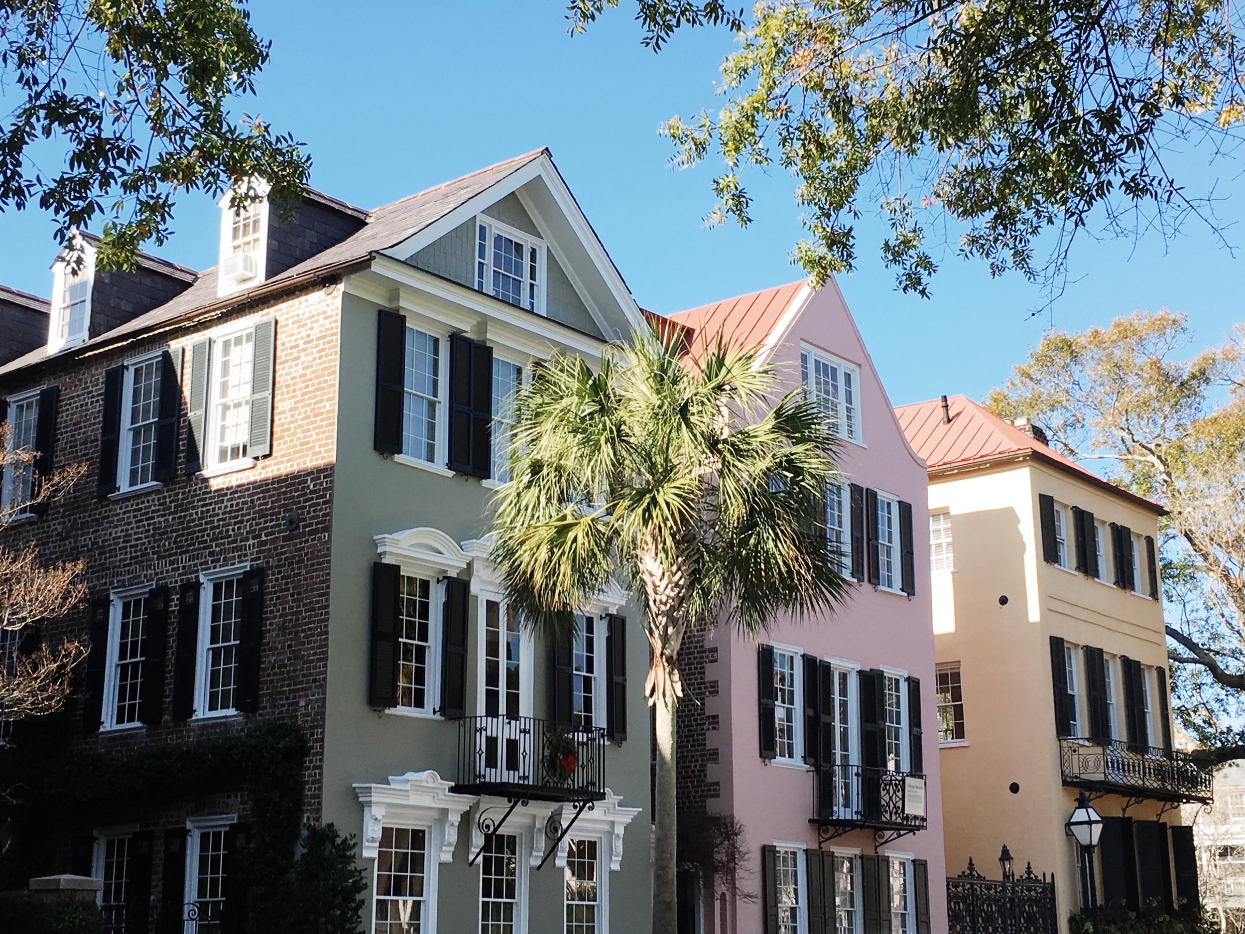 tours from charleston