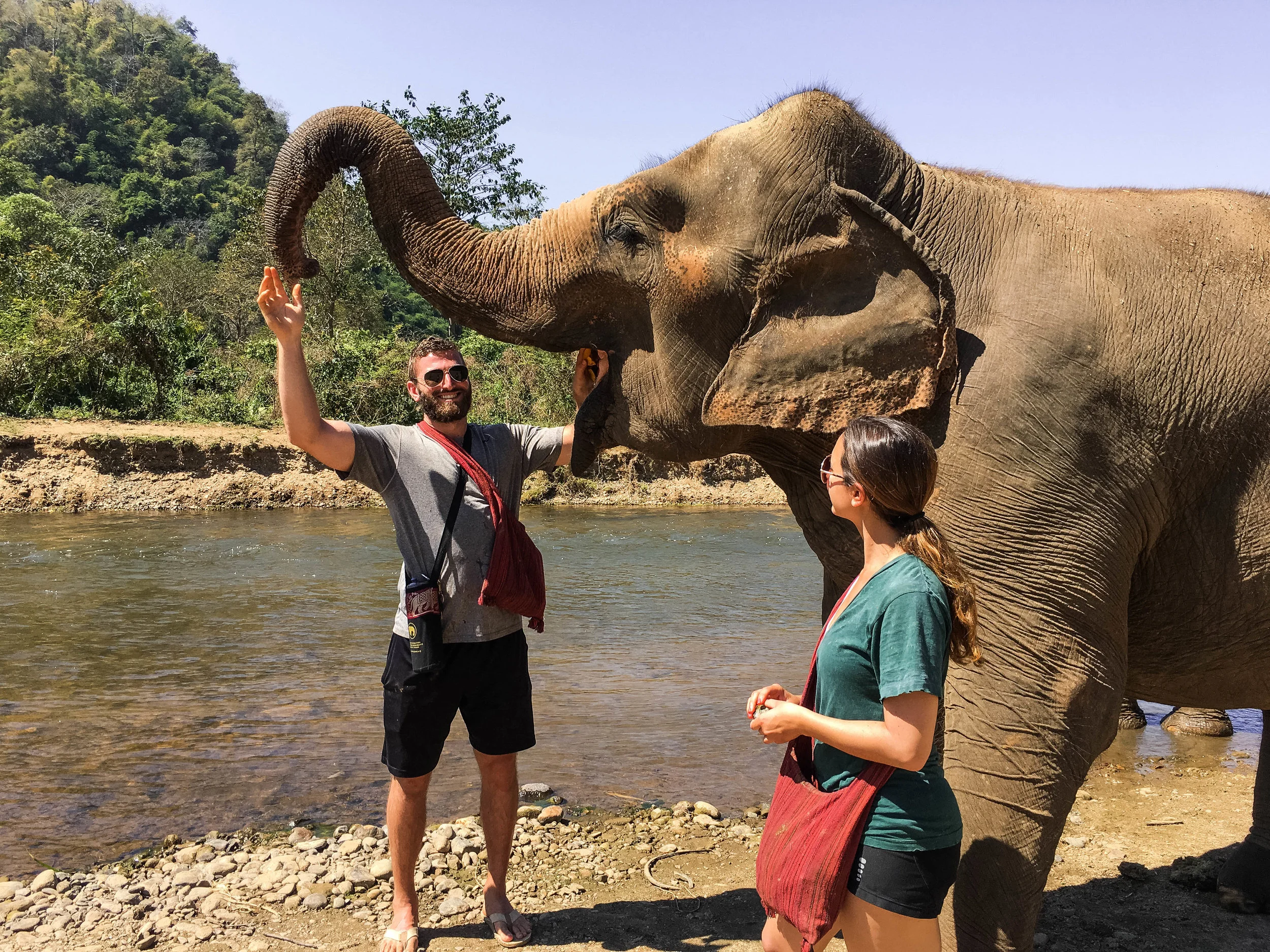 chiang mai elephant nature park.jpg
