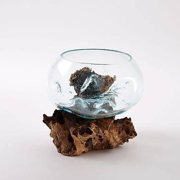 West Elm Wood + Glass Terrarium