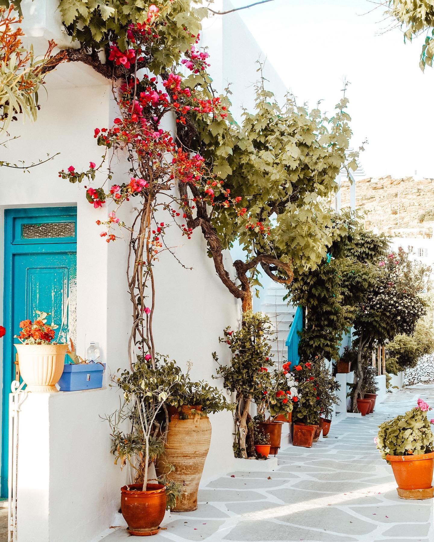 Little unexpected alleyways of Mykonos. I miss the food in Greece 🤤 ⠀
⠀
⠀
.⠀
.⠀
.⠀
.⠀
.⠀
.⠀
⠀
#thecitysidewalks #theprettycities #theeverygirltravels #suitcasetravels #culturetrip #insidertravel #passionpassport #pathport #prettylittletrips #mytinya