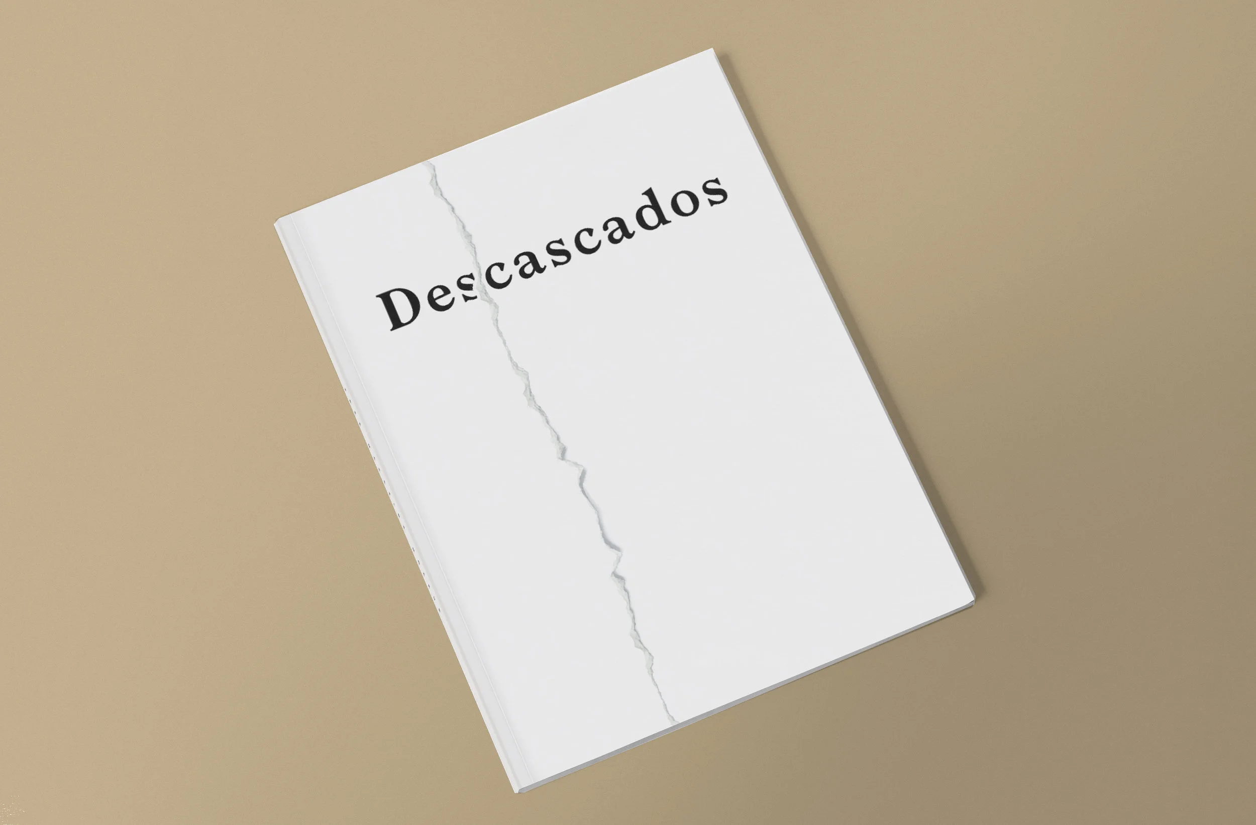 169-magazine-mockup-01 copy.jpg