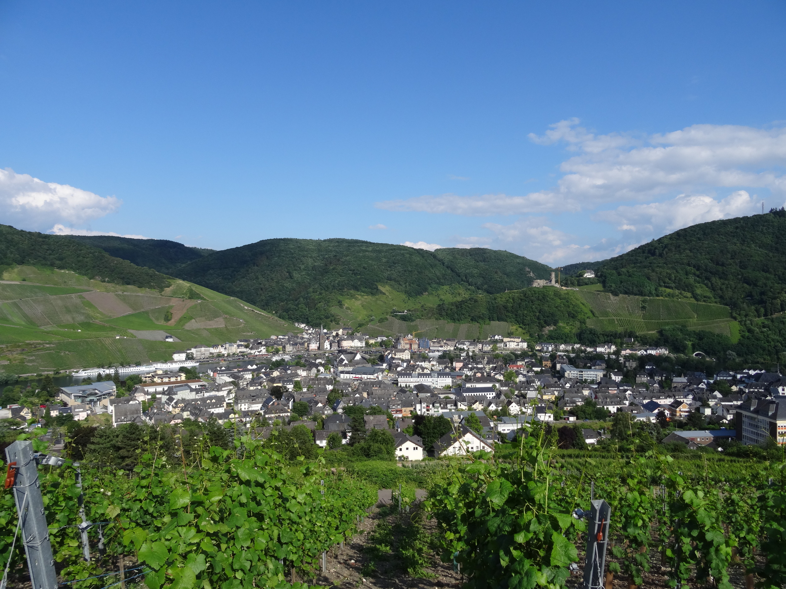 09.Aug 2015 : Blick auf die Stadt Bernkastel-Kues