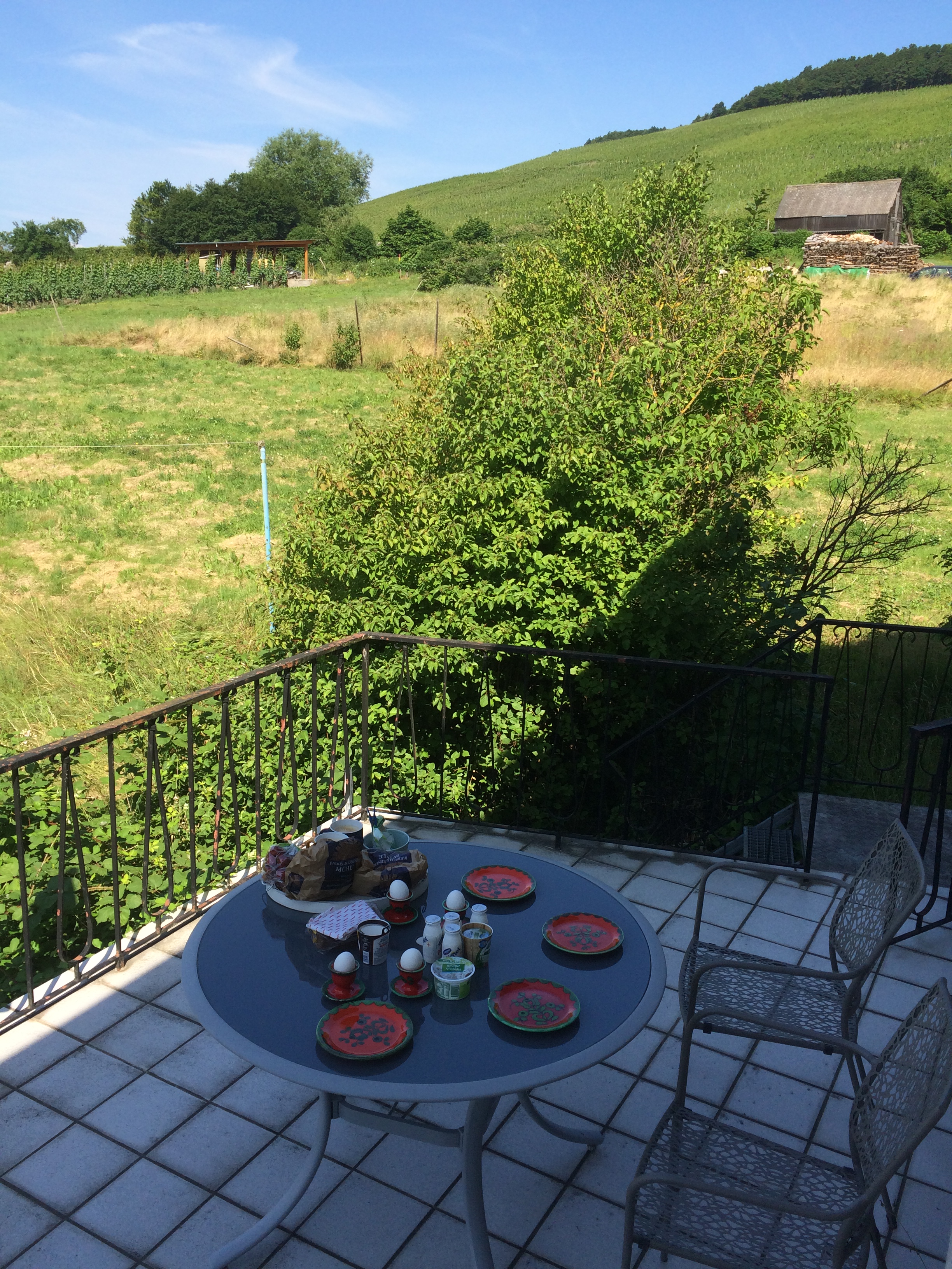 09.Aug 2015 : Frühstück auf dem Balkon
