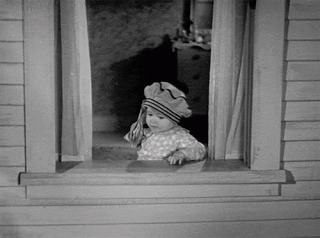 giphy (3).gif