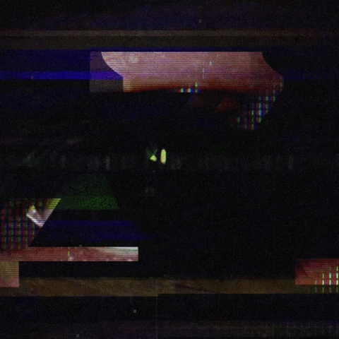 giphy (12).gif