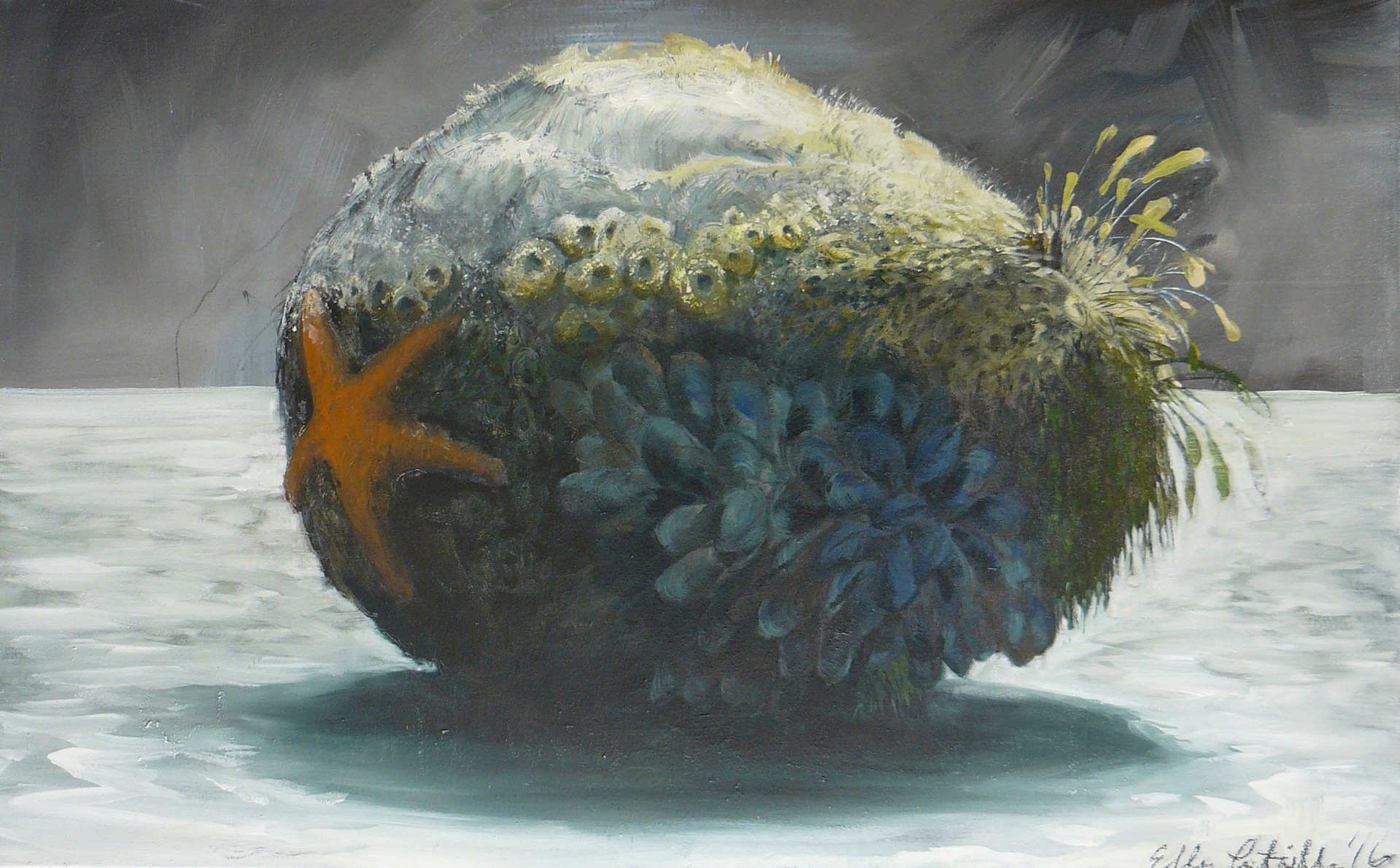 Ellen Litwiller "Still Life With Sea Star and Stone"