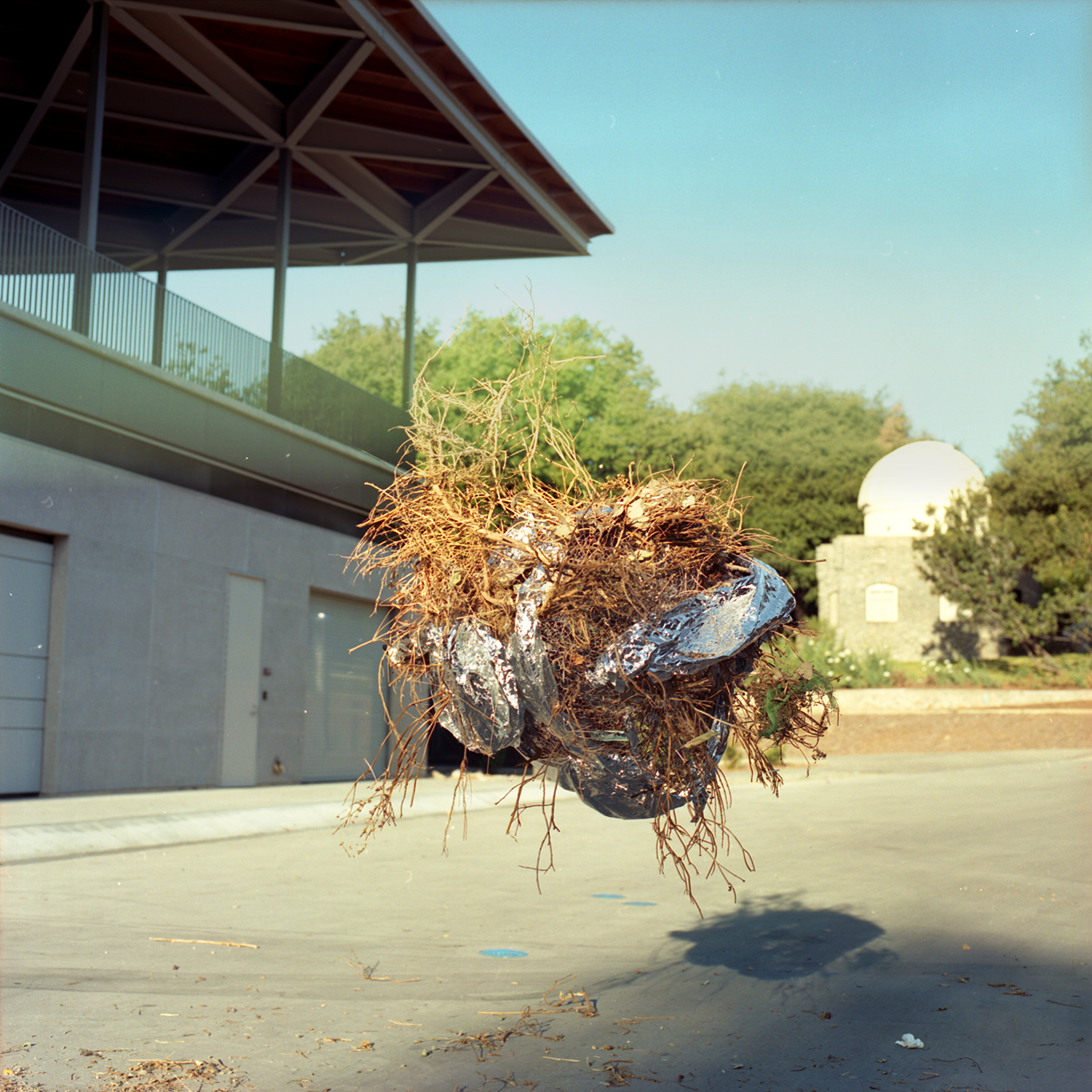 Elicia Epstein "The Orb"