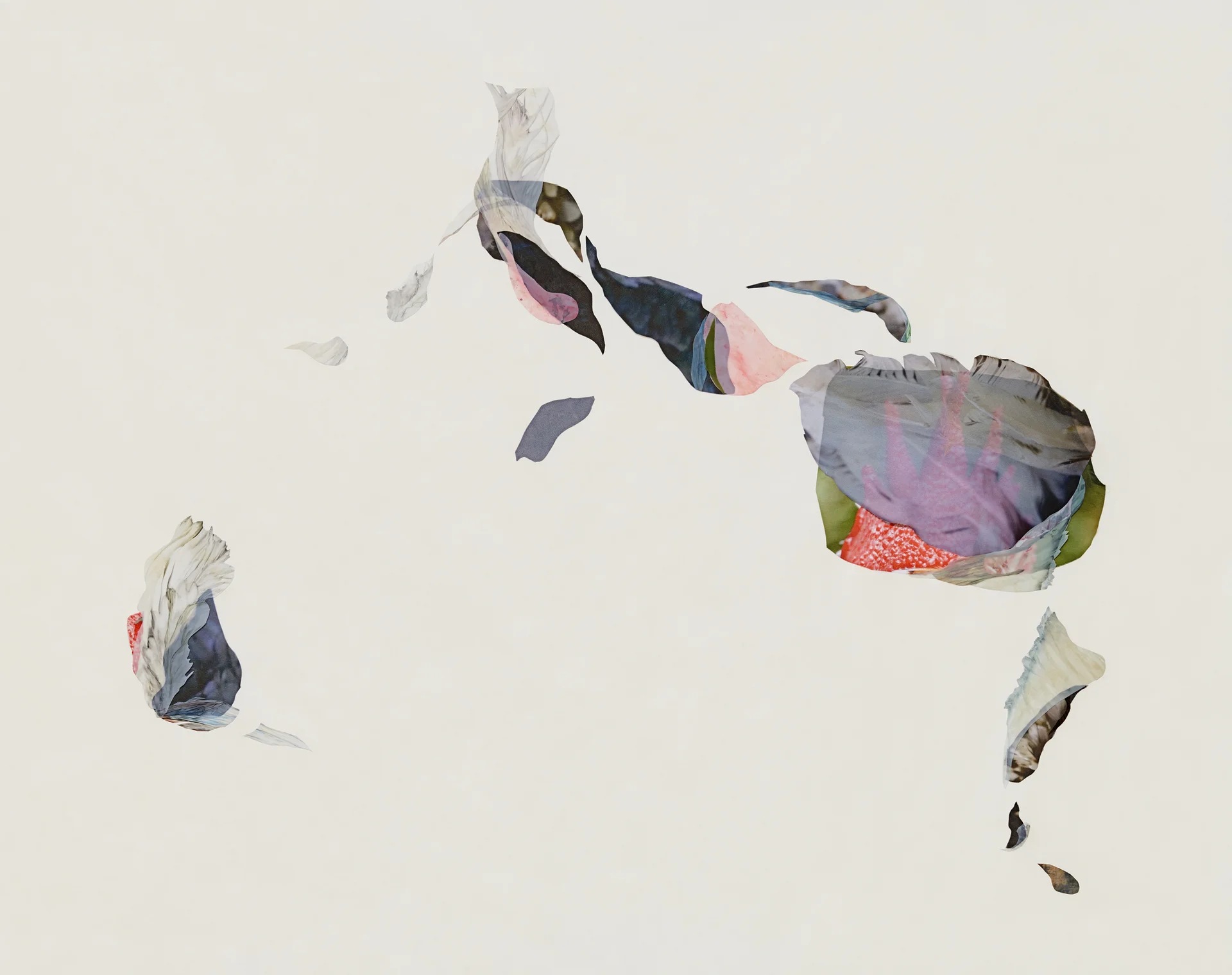 Lisa McCutcheon "Molt Series 2"