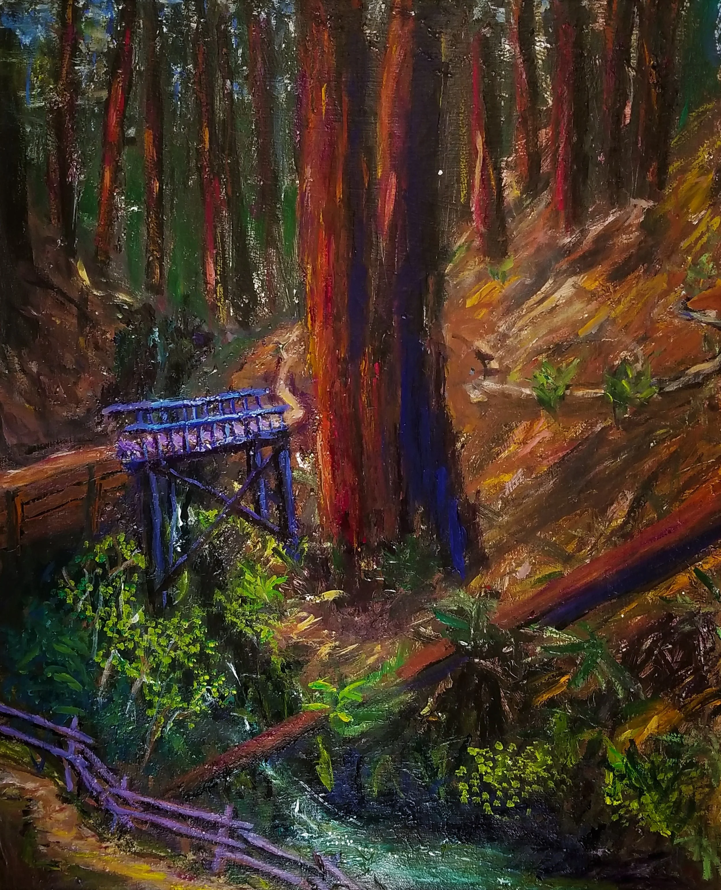 redwoods scene.jpg