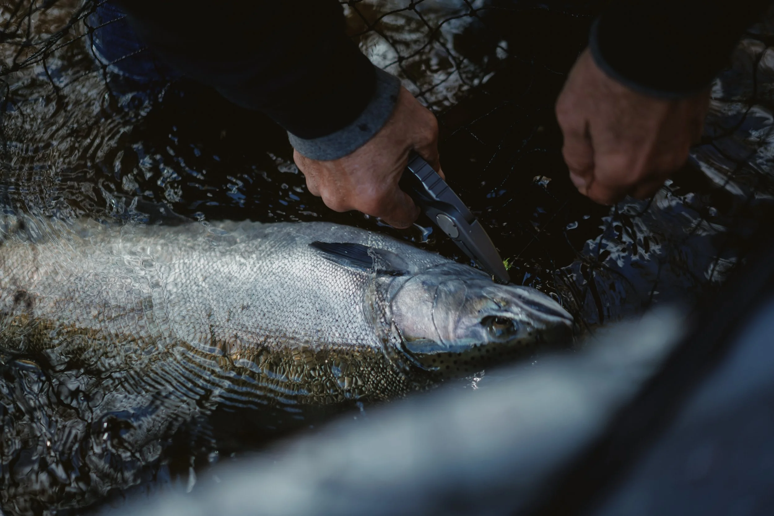 10272023-PulaskiNY-SalmonFishing-Edits-JPEGS-072.jpg