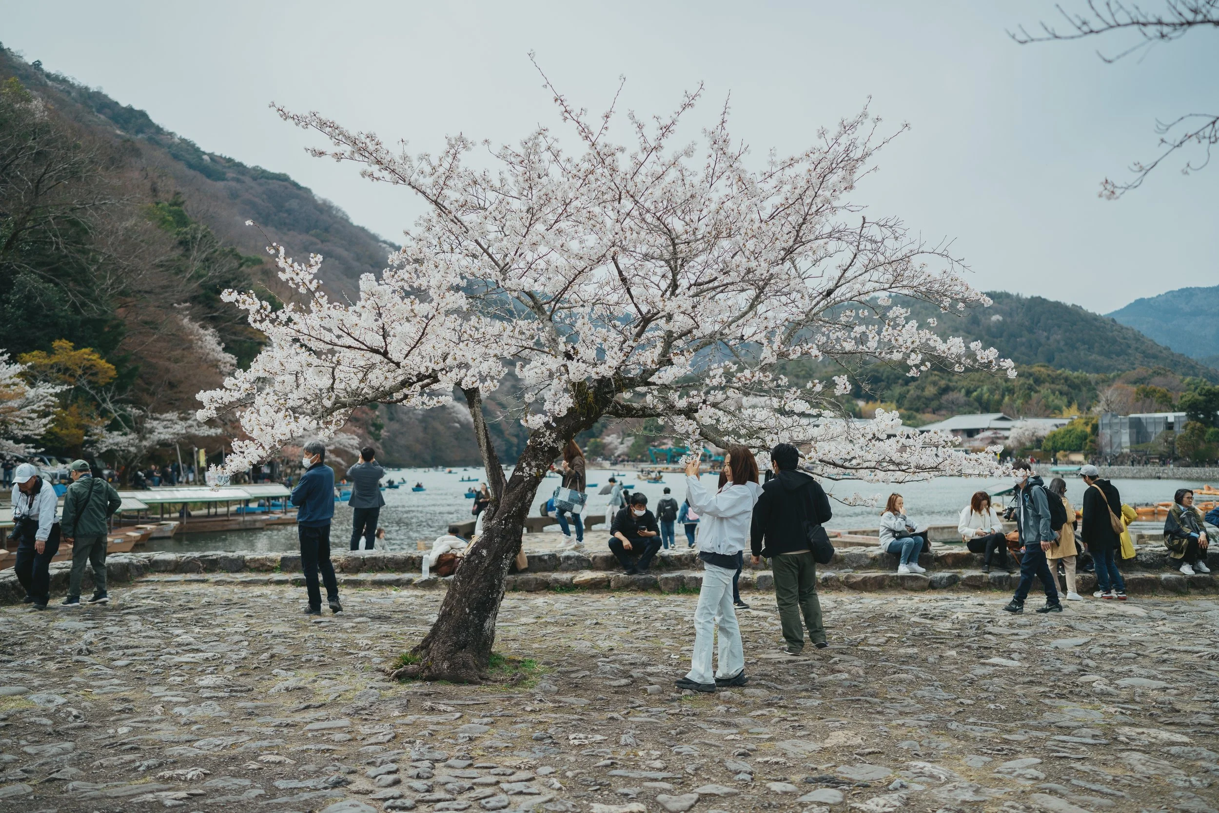04152025-Japan-KyotoDay1-Edits-JPEGS-081.jpg
