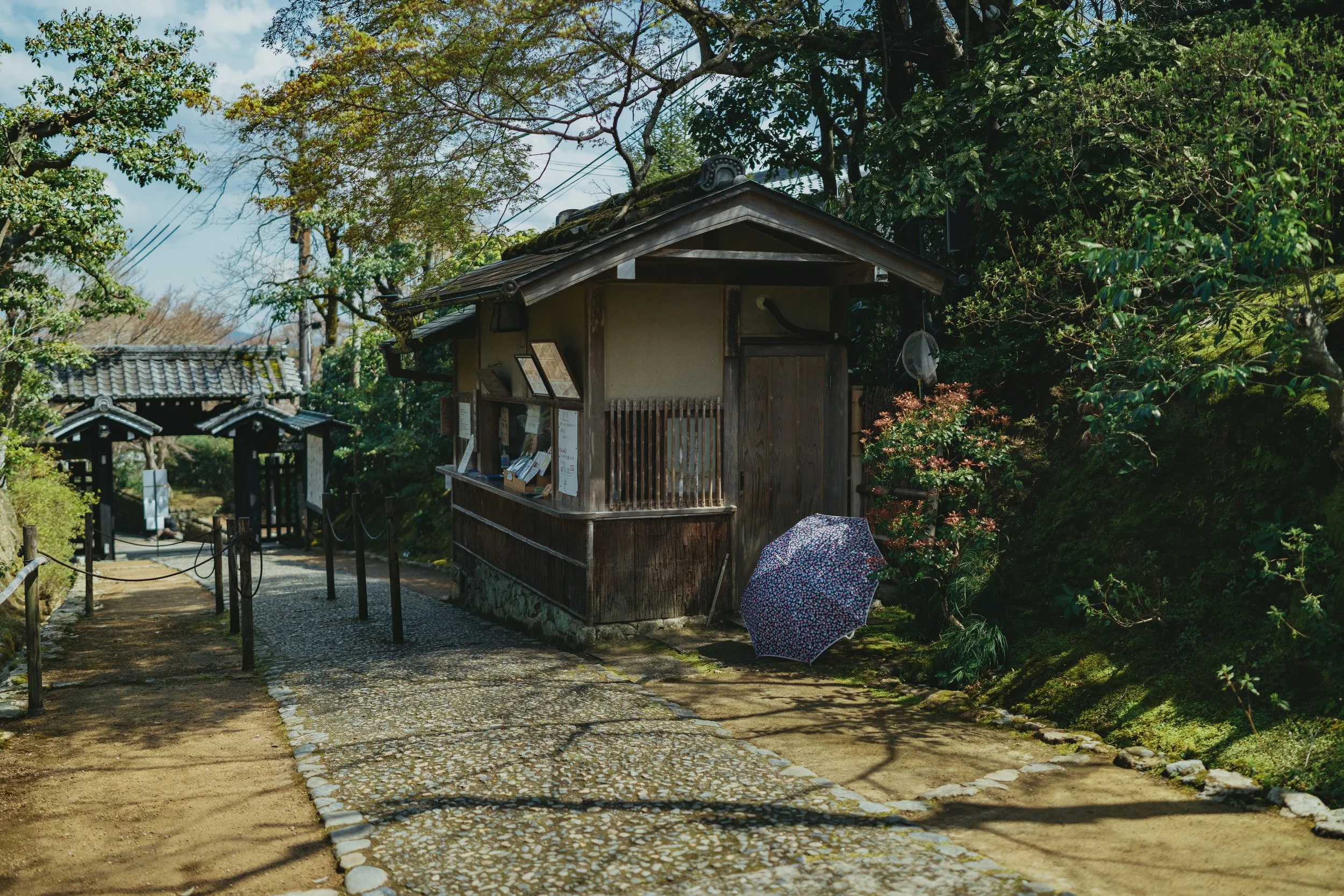 04152025-Japan-KyotoDay2-Edits-JPEGS-090.jpg