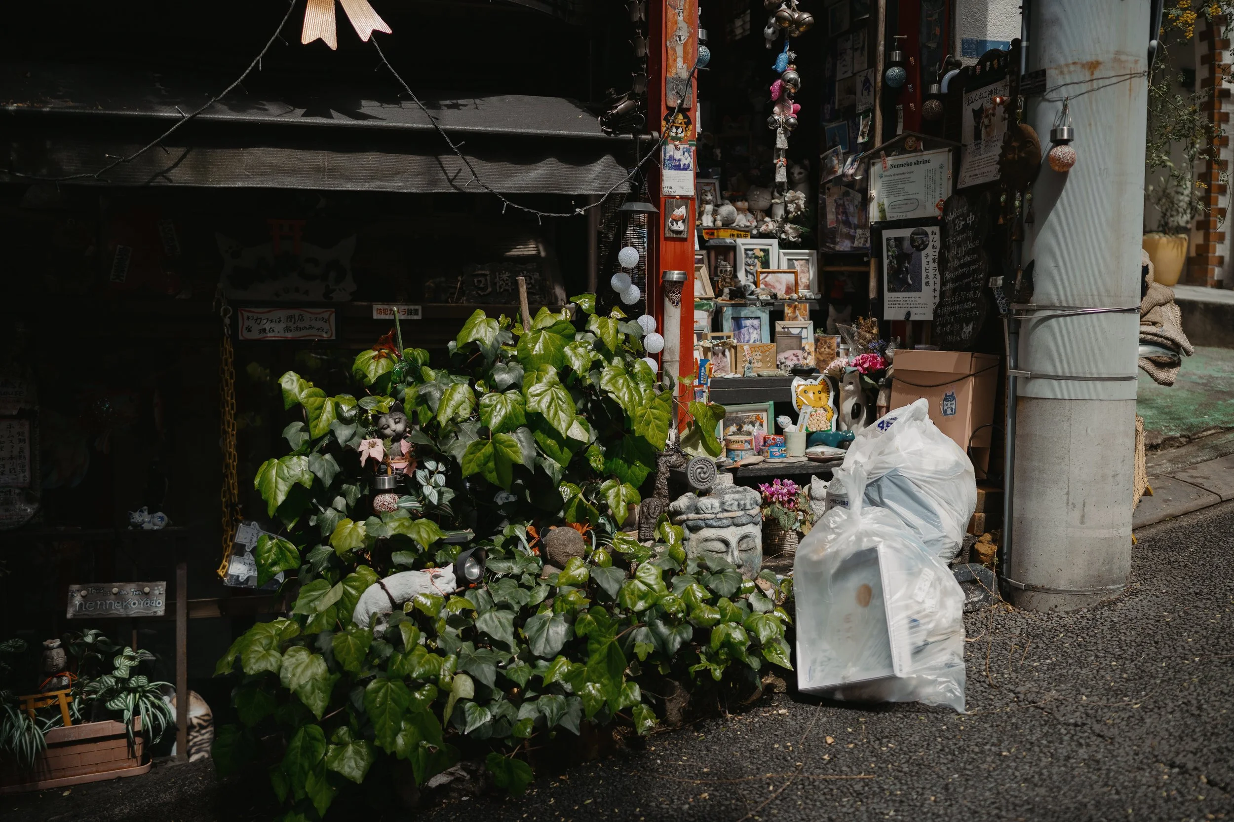 04152025-Japan-TokyoDay4-Edits-JPEGS-56.jpg