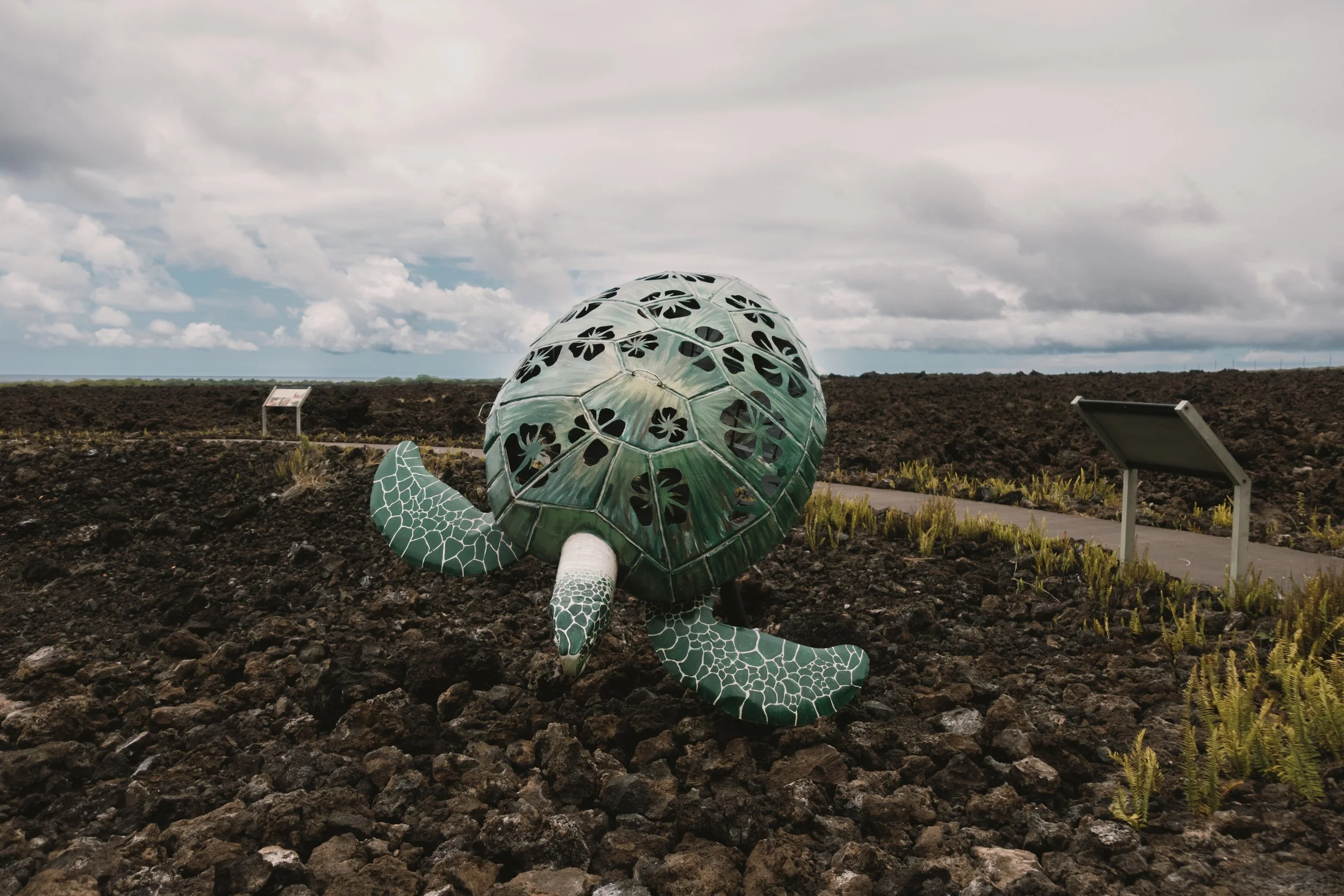 05022023-HawaiiTrip-Edits-JPEGS-691.jpg